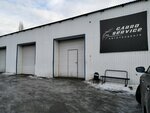 Carro Service (1-ya Zelenogorskaya ulitsa, 2/1), car service, auto repair