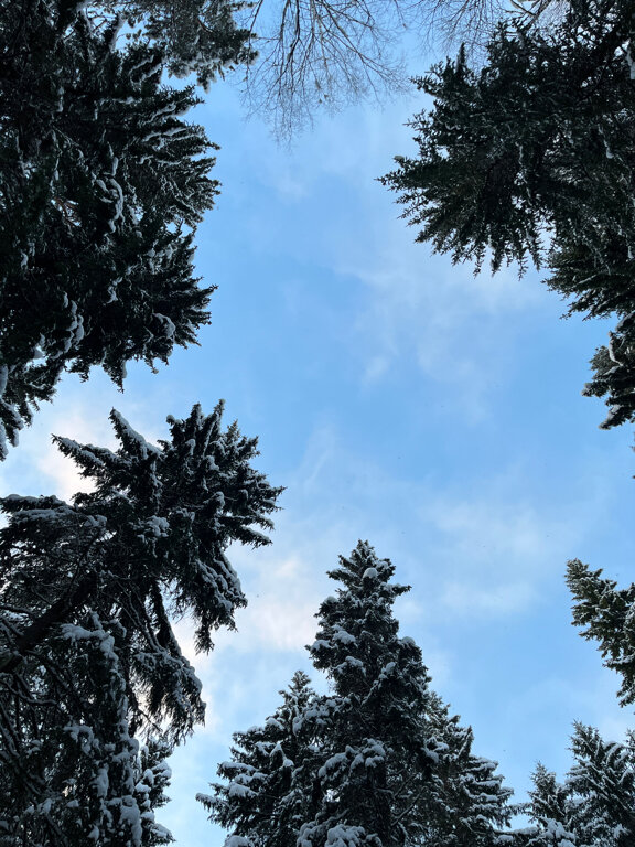 Фото Солониха