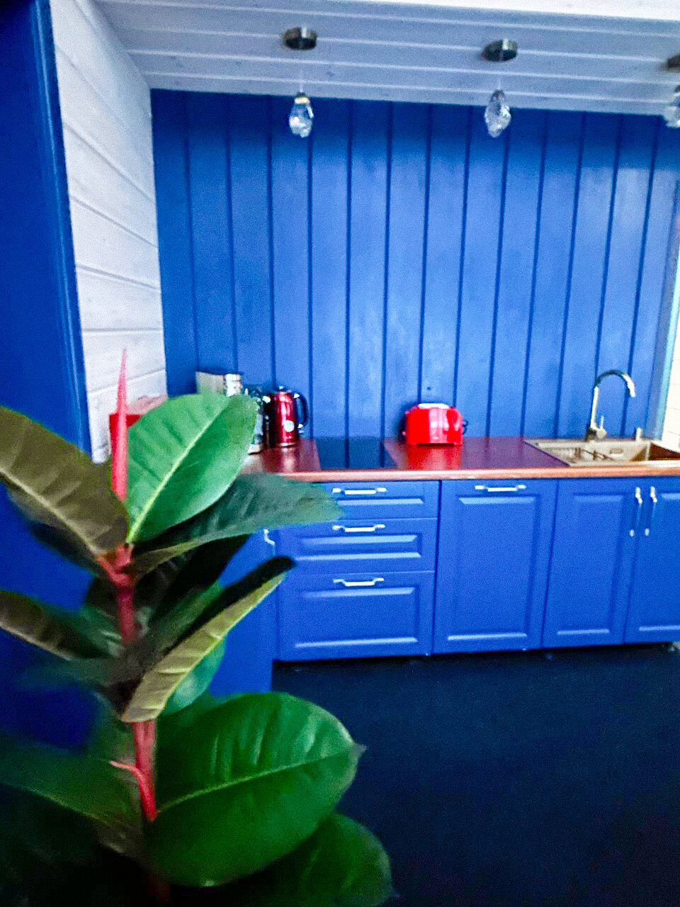 Фото Брусника № 1