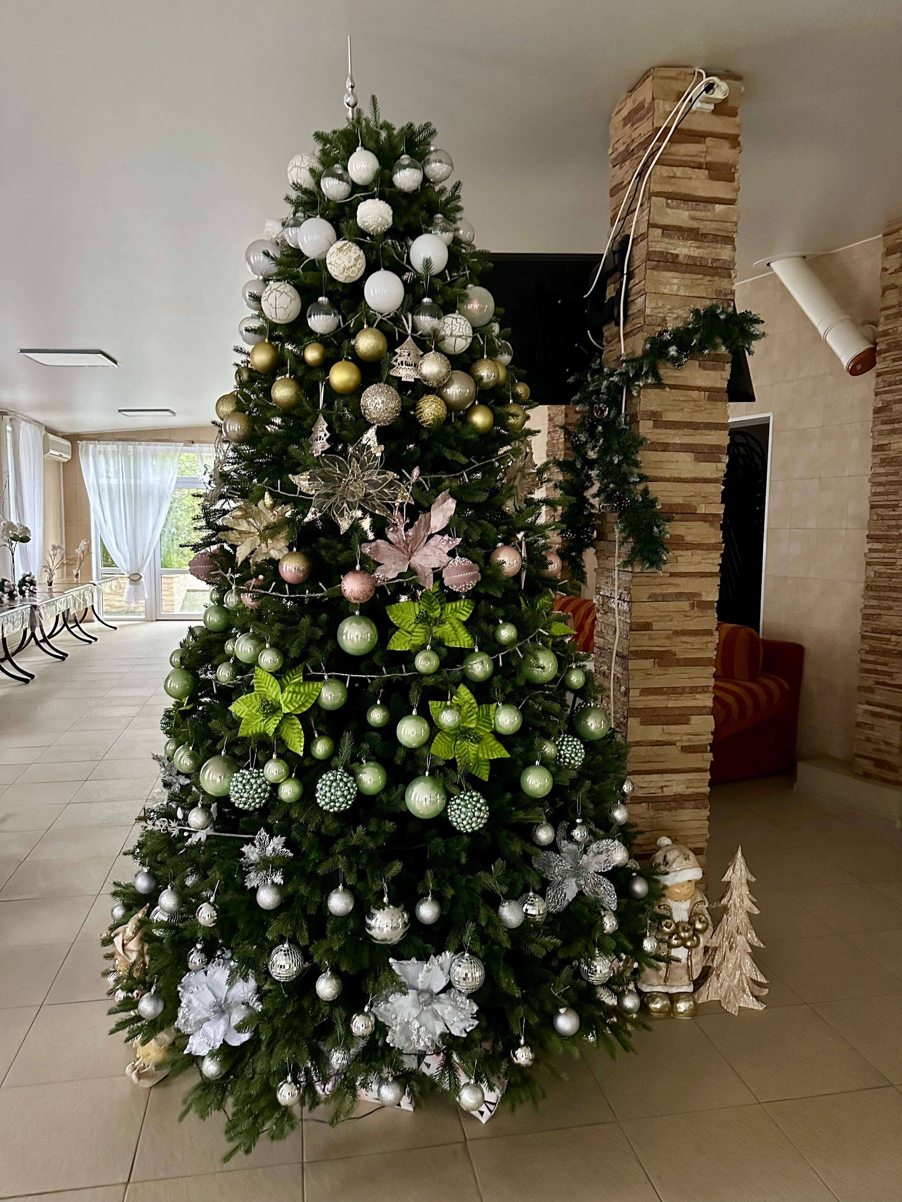 Фото У Елены