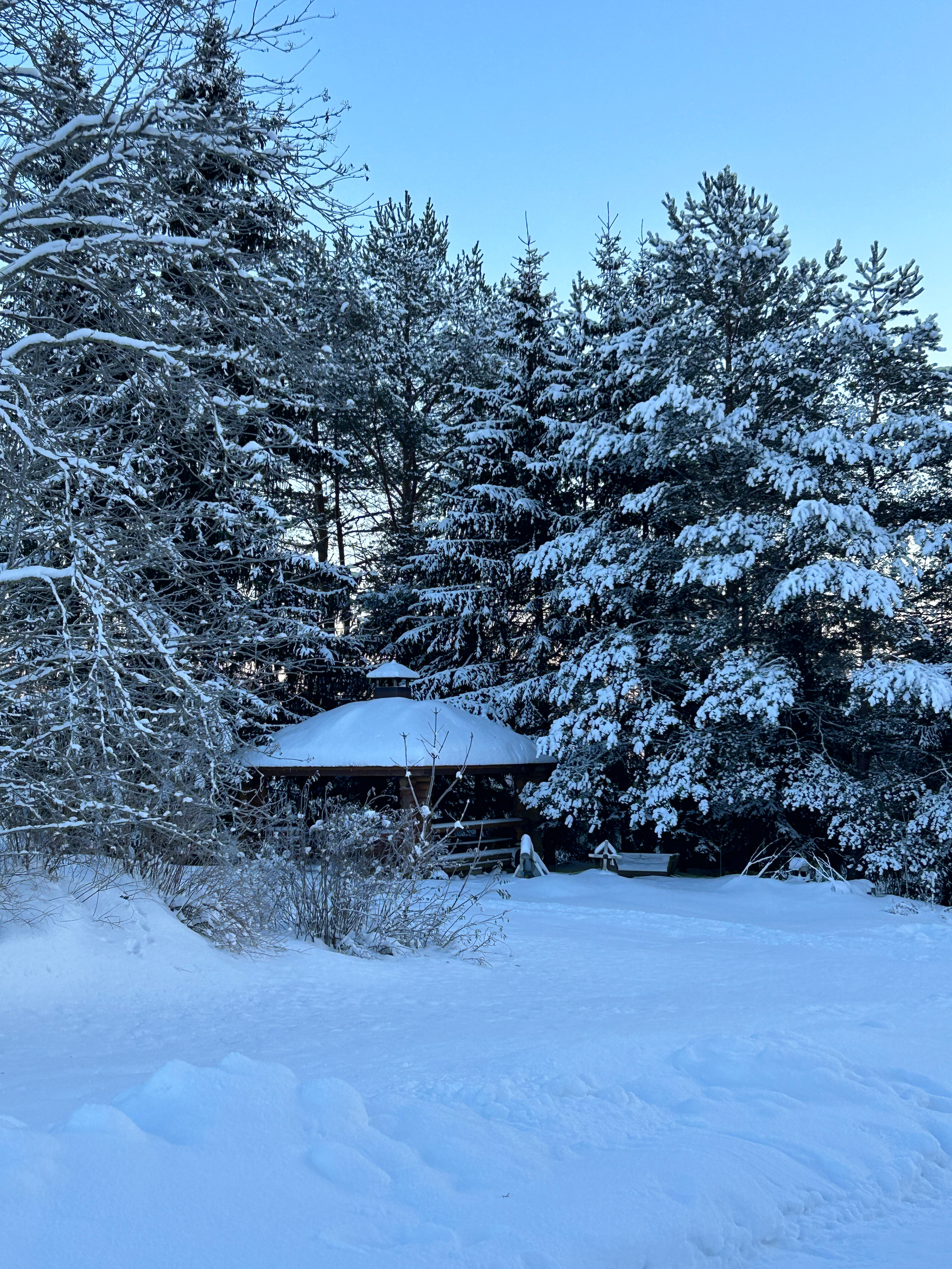 Фото Остров Мейери