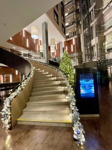 DoubleTree by Hilton Moscow - Vnukovo Airport