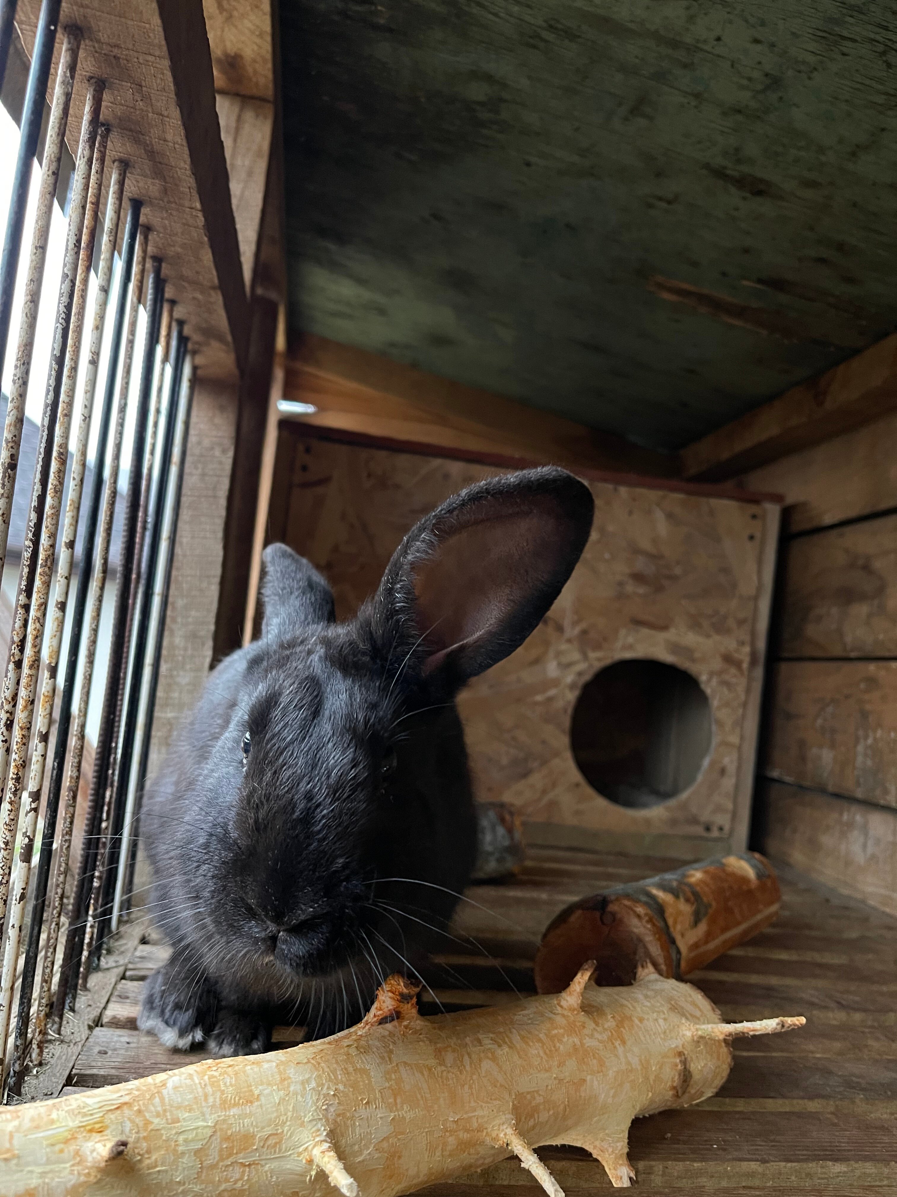 Фото Горы зовут