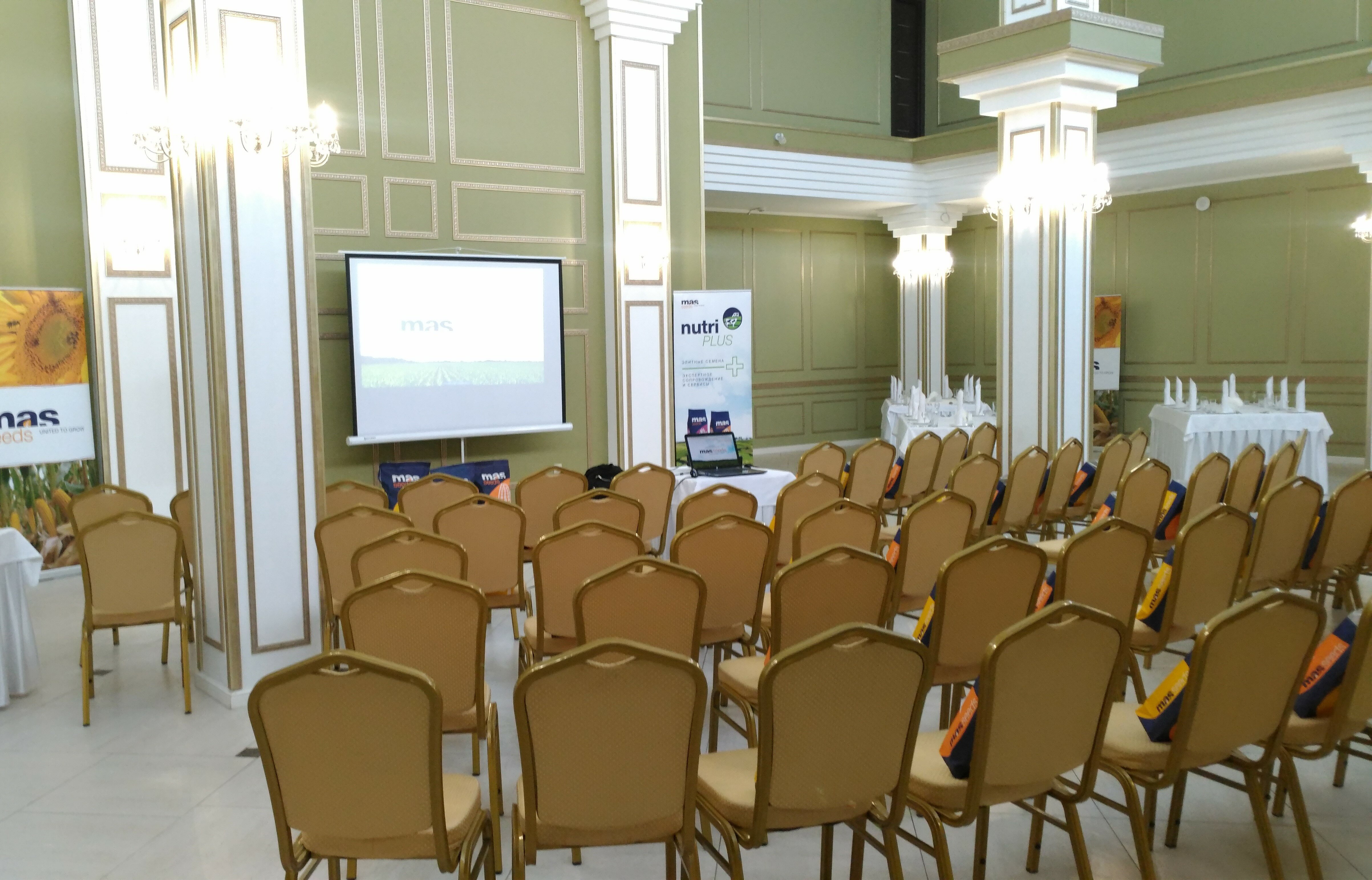 Фото Белая Акация