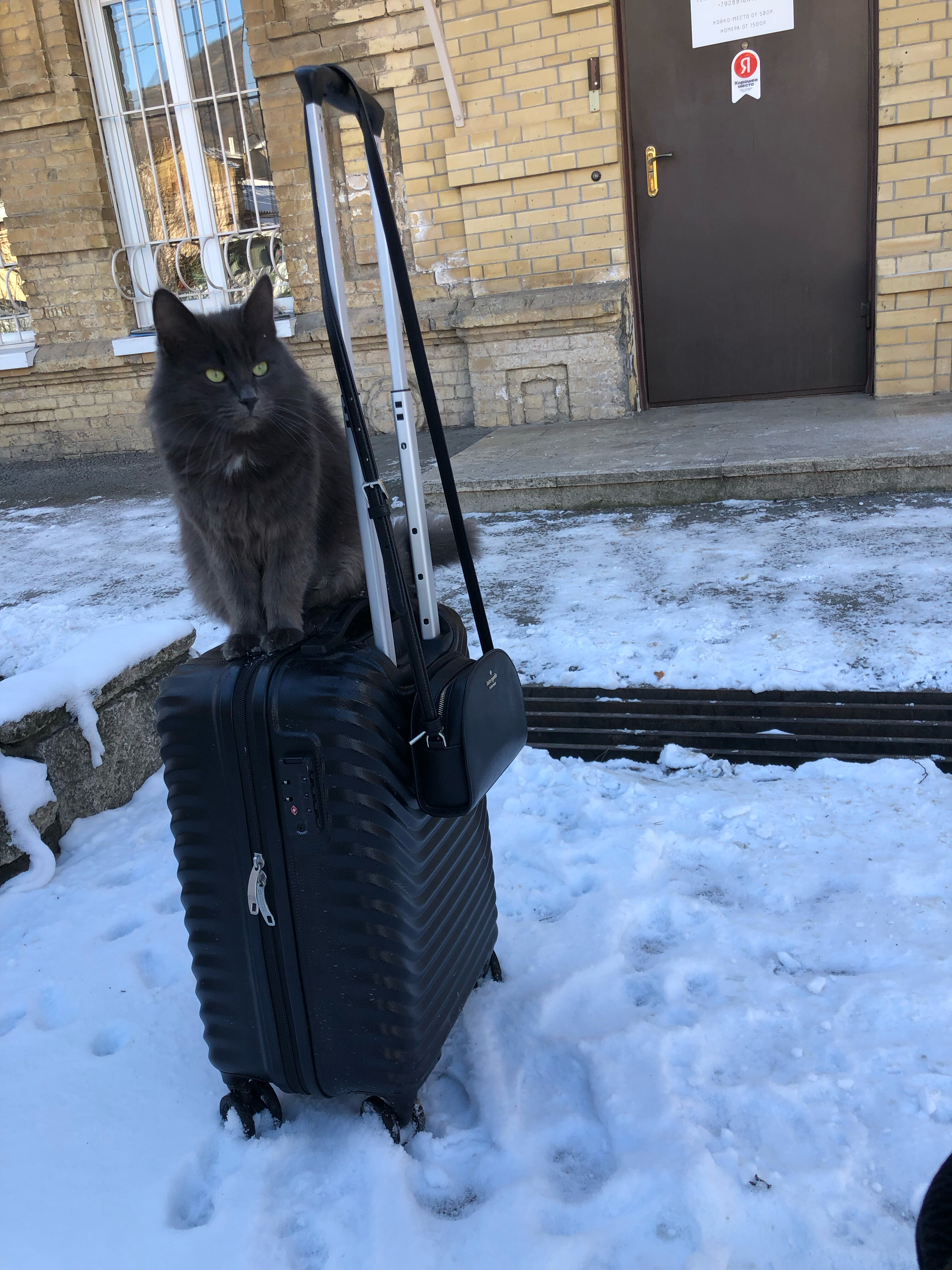 Фото Хостел 5642