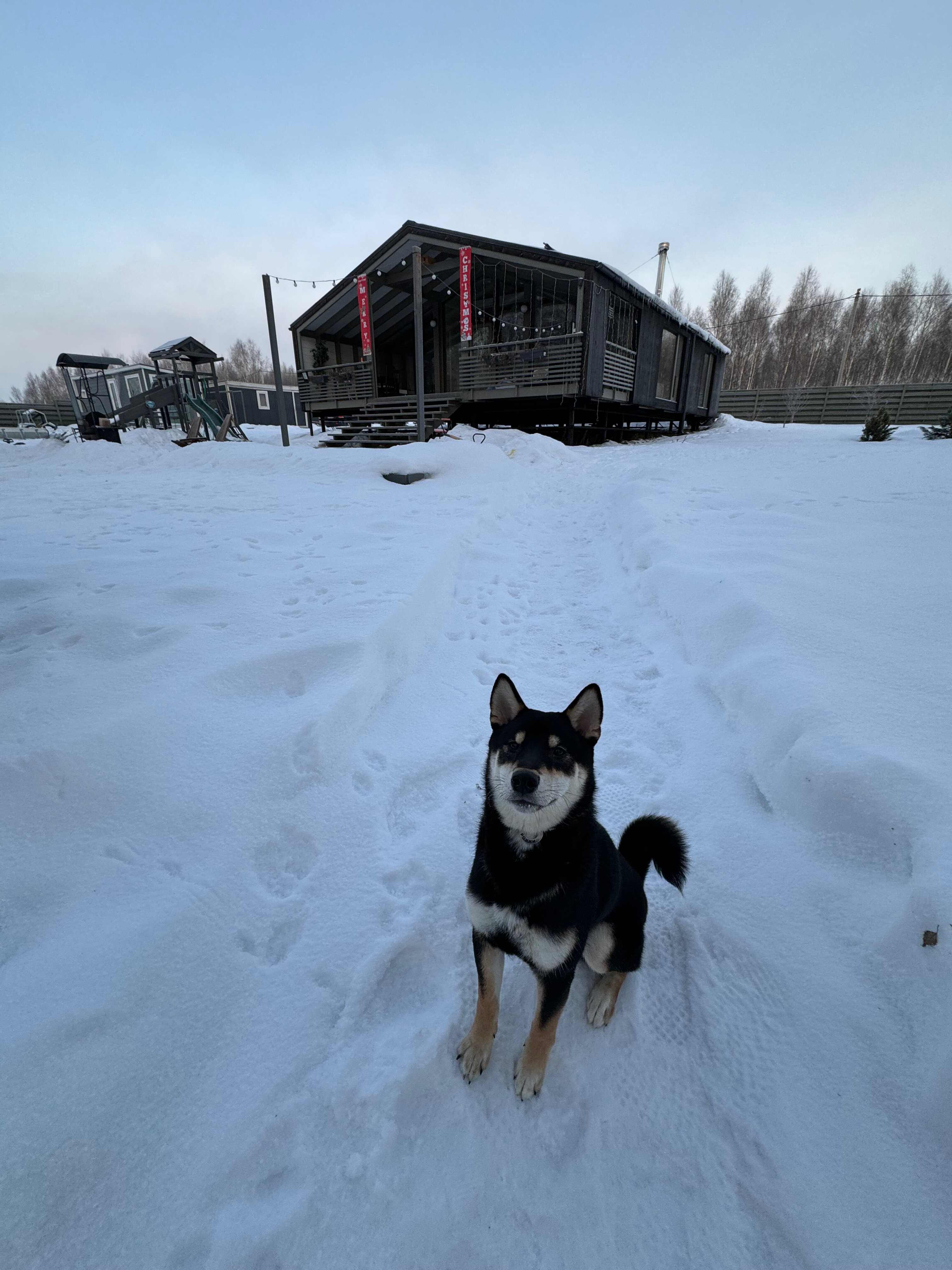Фото Рузские Горки