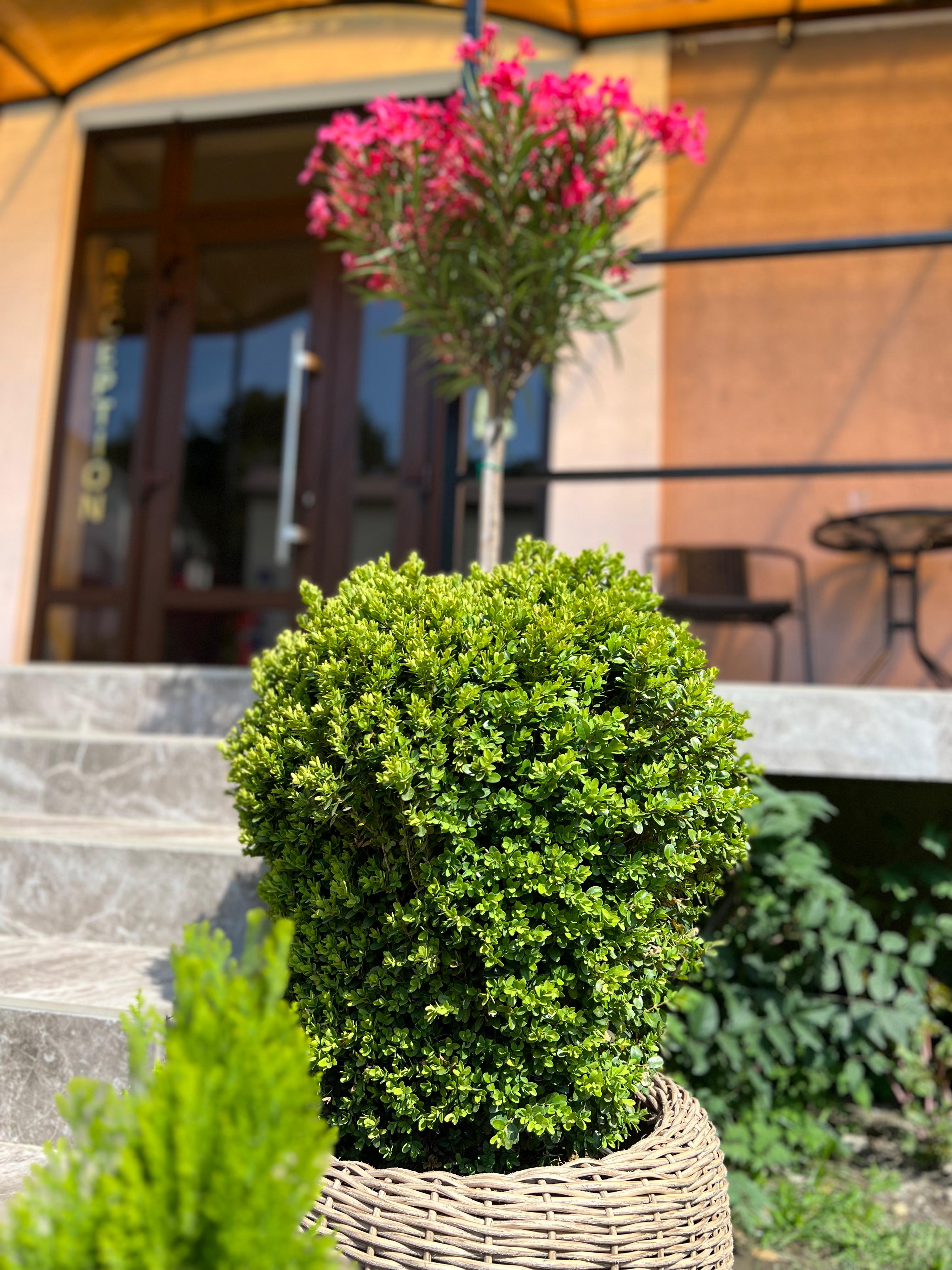 Фото Гостевой дом Сали