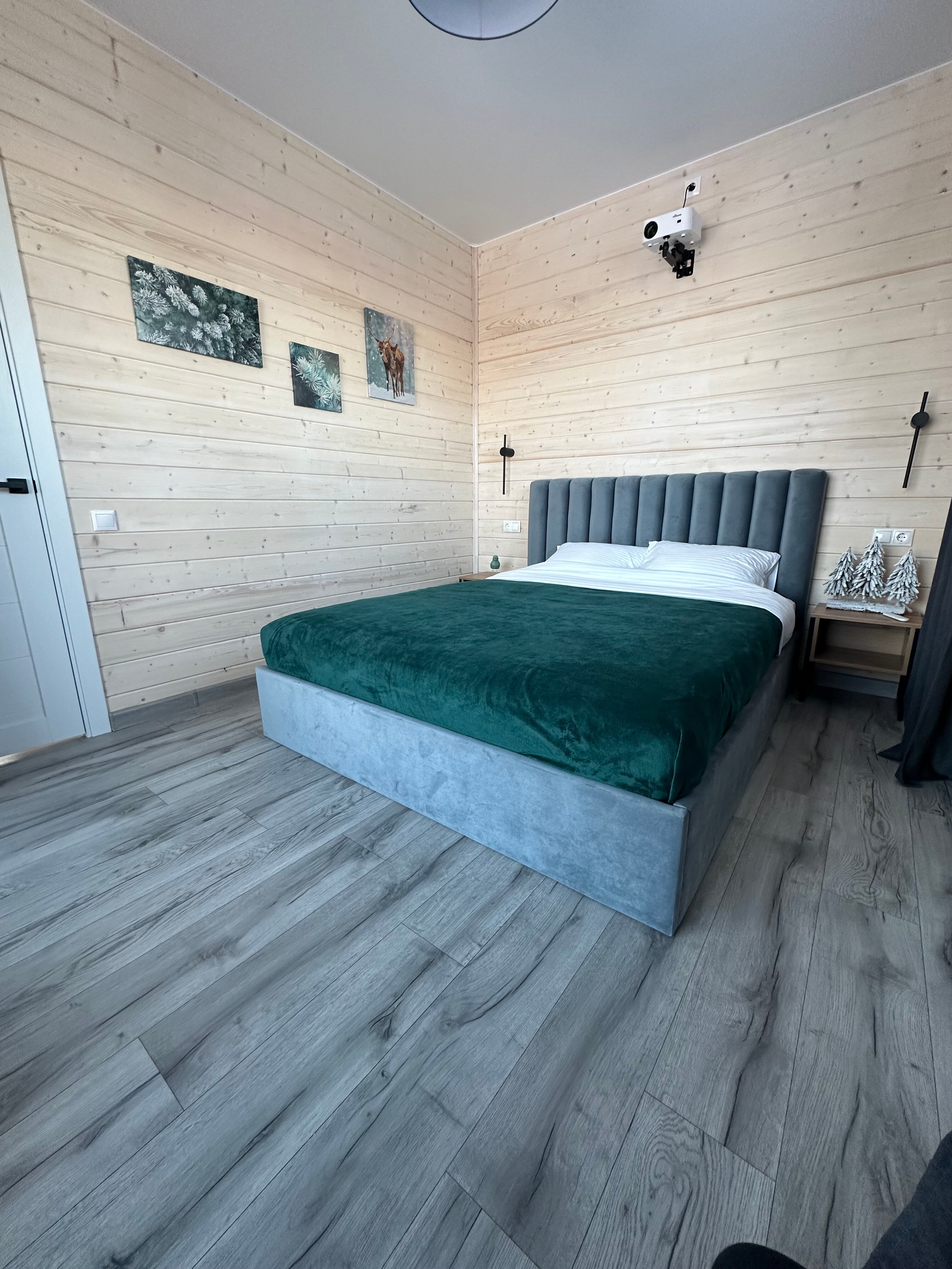 Фото Лес и Волга