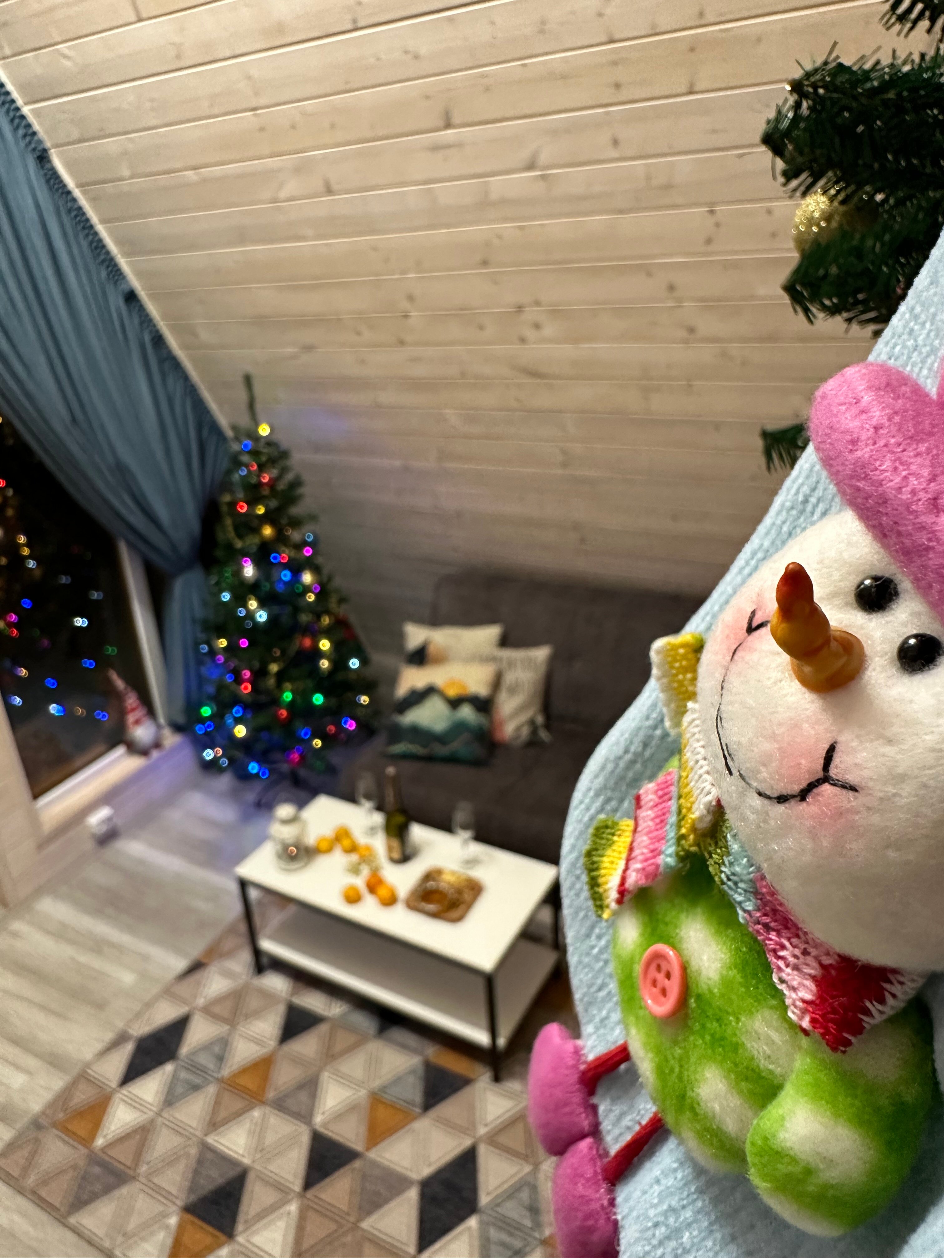 Фото Alpen House 01