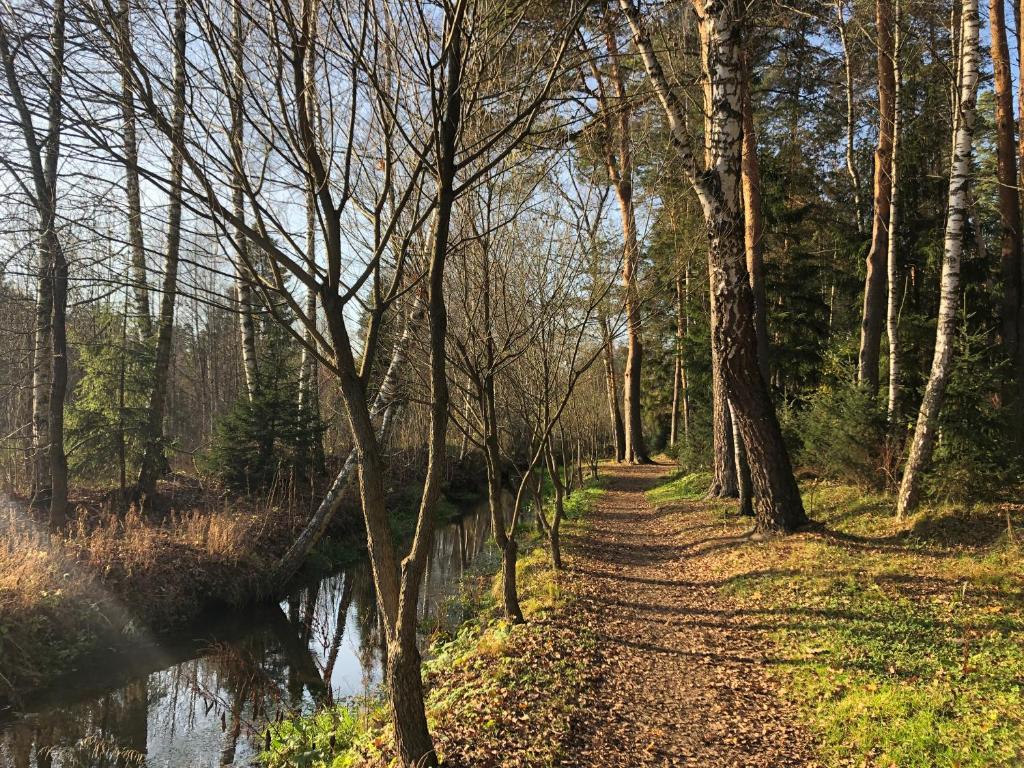 Фото Теремок