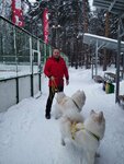 Ездовое собаководство (Комсомольский просп., 7), спортивное объединение в Люберцах