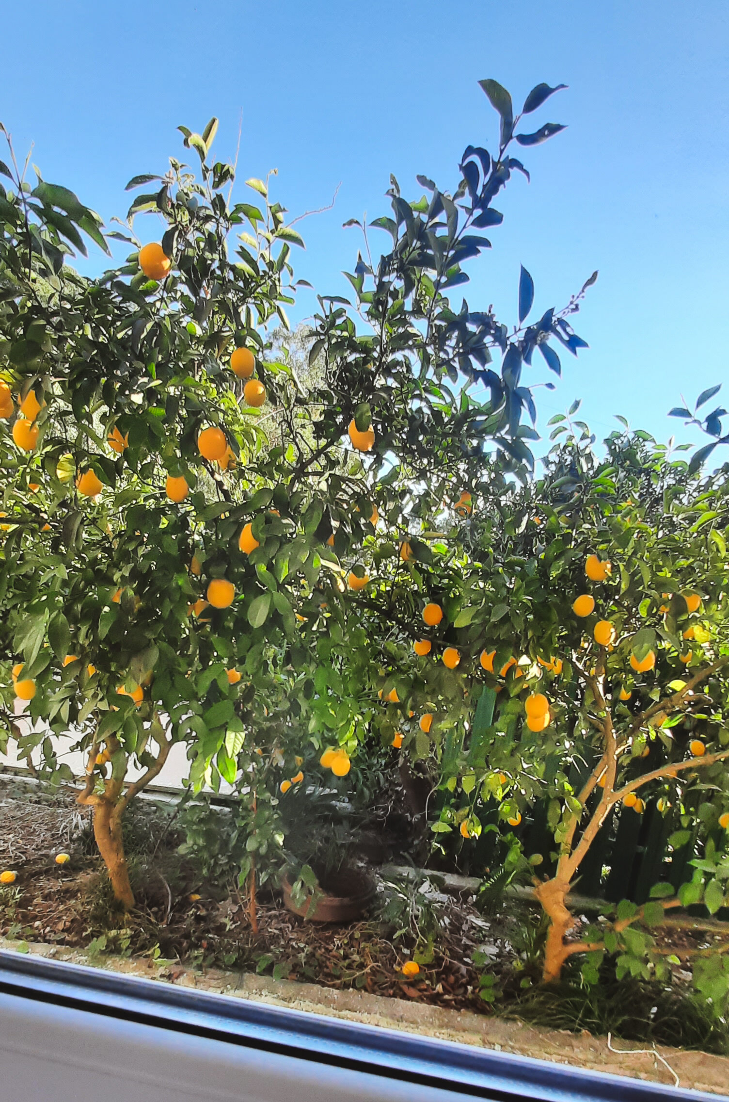 Фото Домик у моря