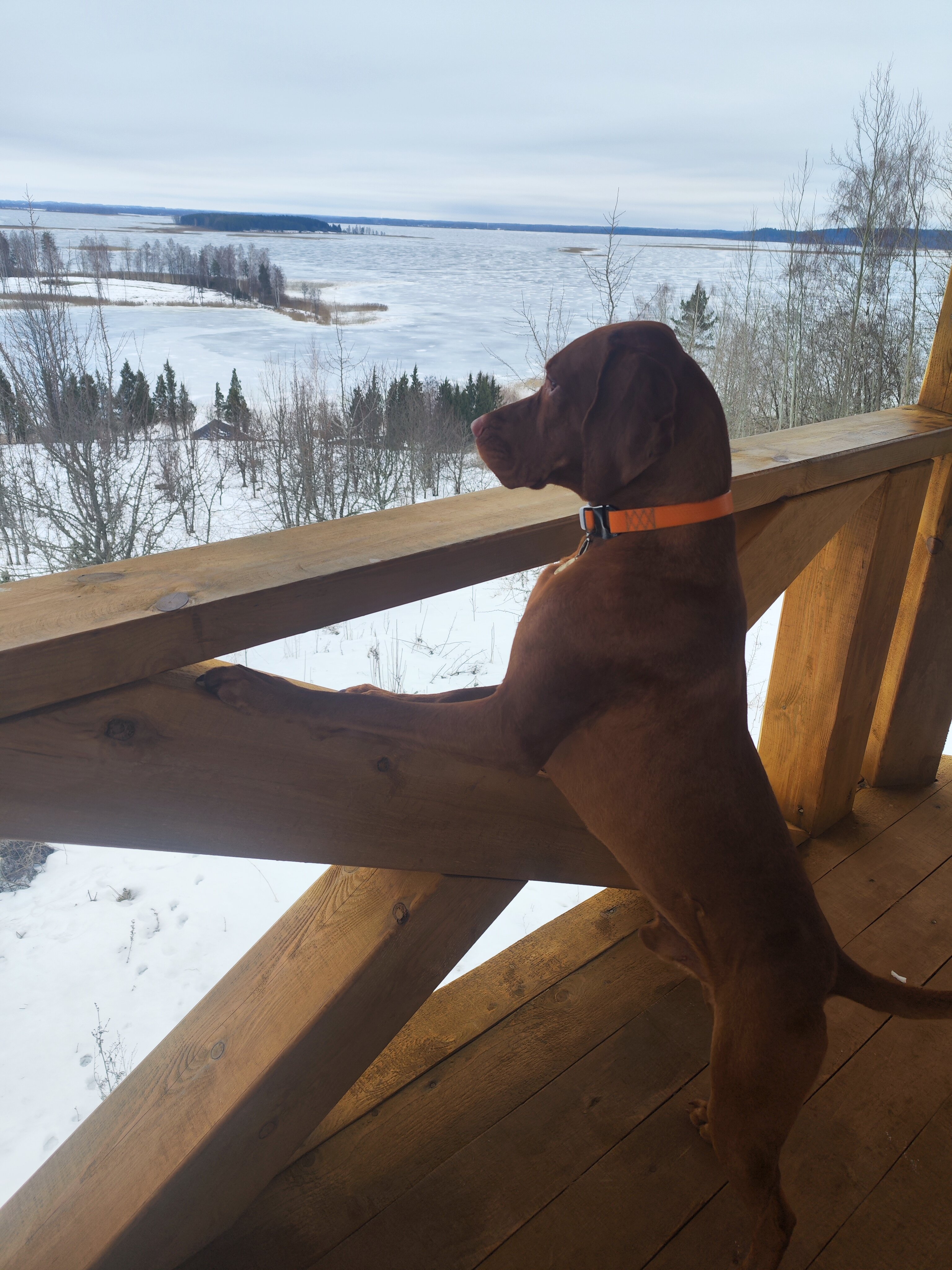 Фото Nomad Houses