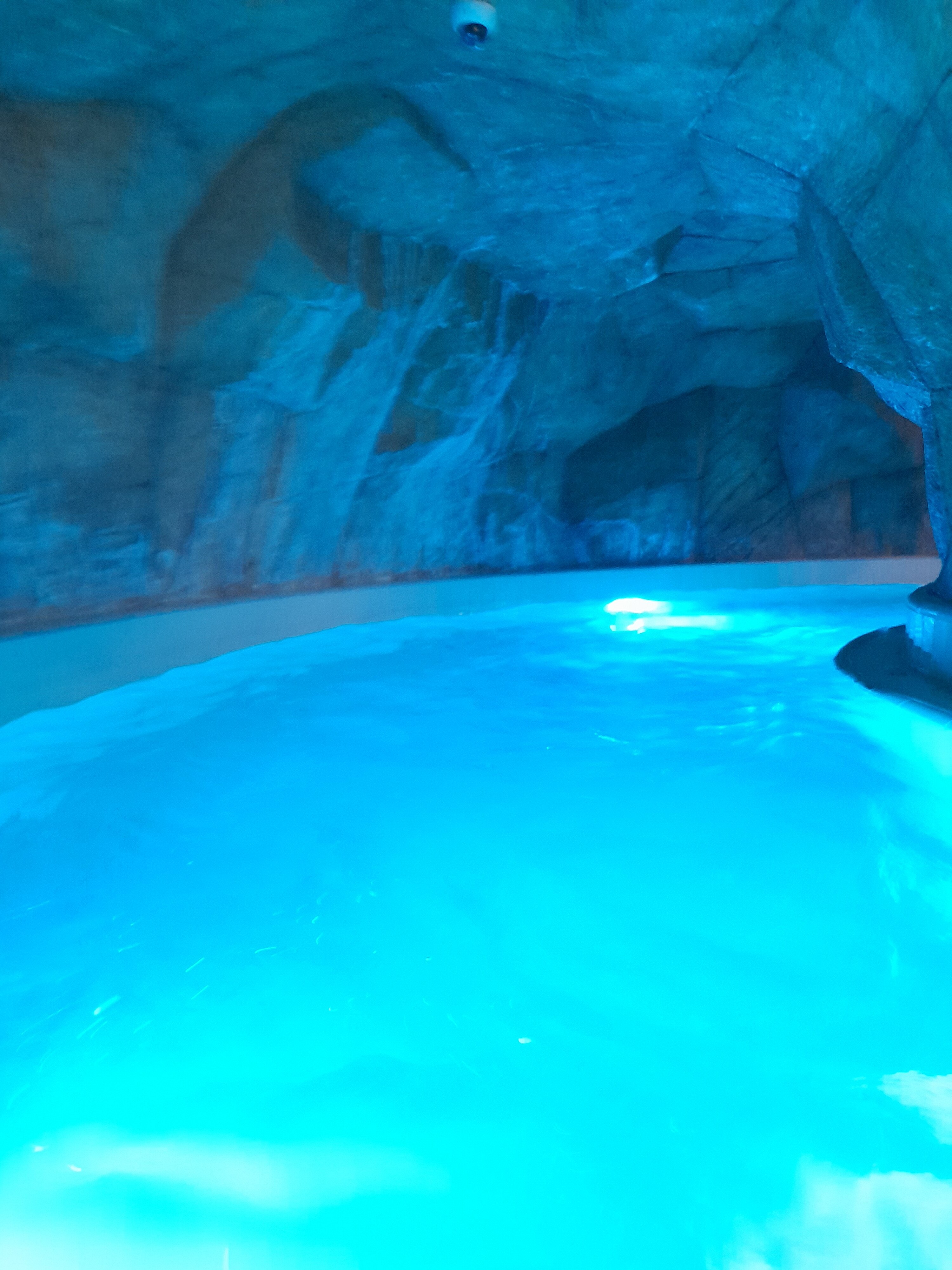 Фото Марциаль