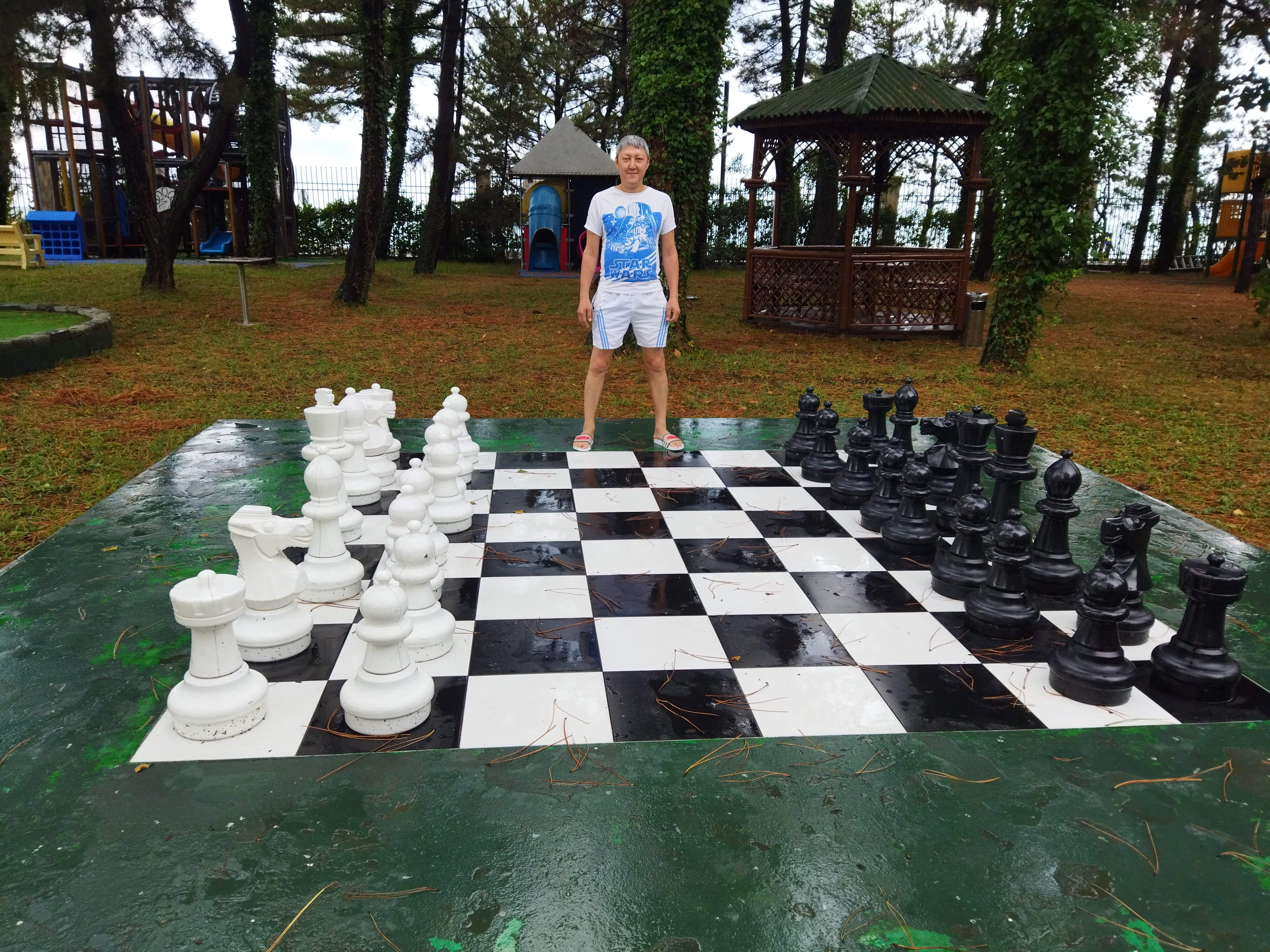 Фото Georgia Palace Hotel & SPA