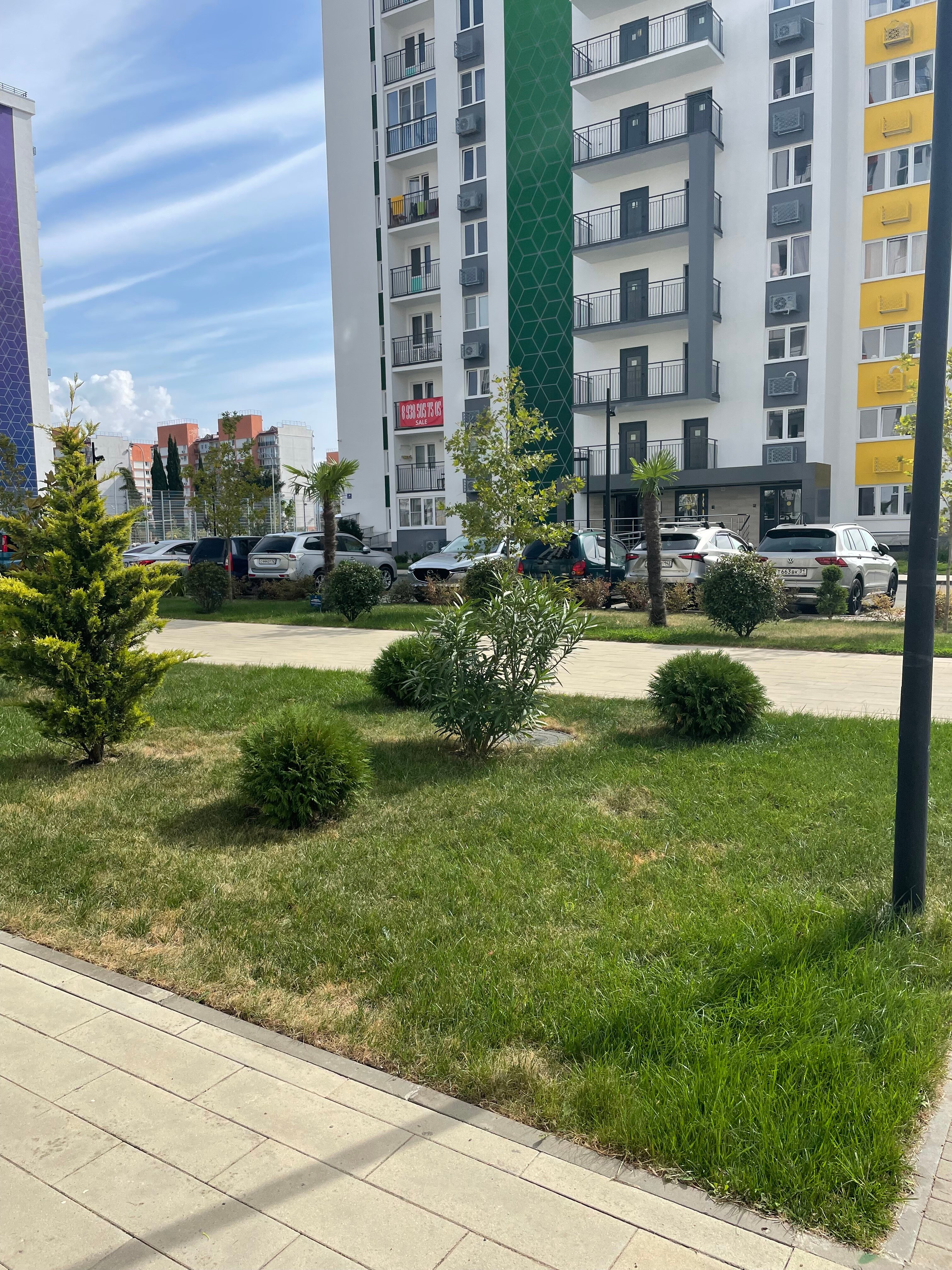 Фото Frukty rent