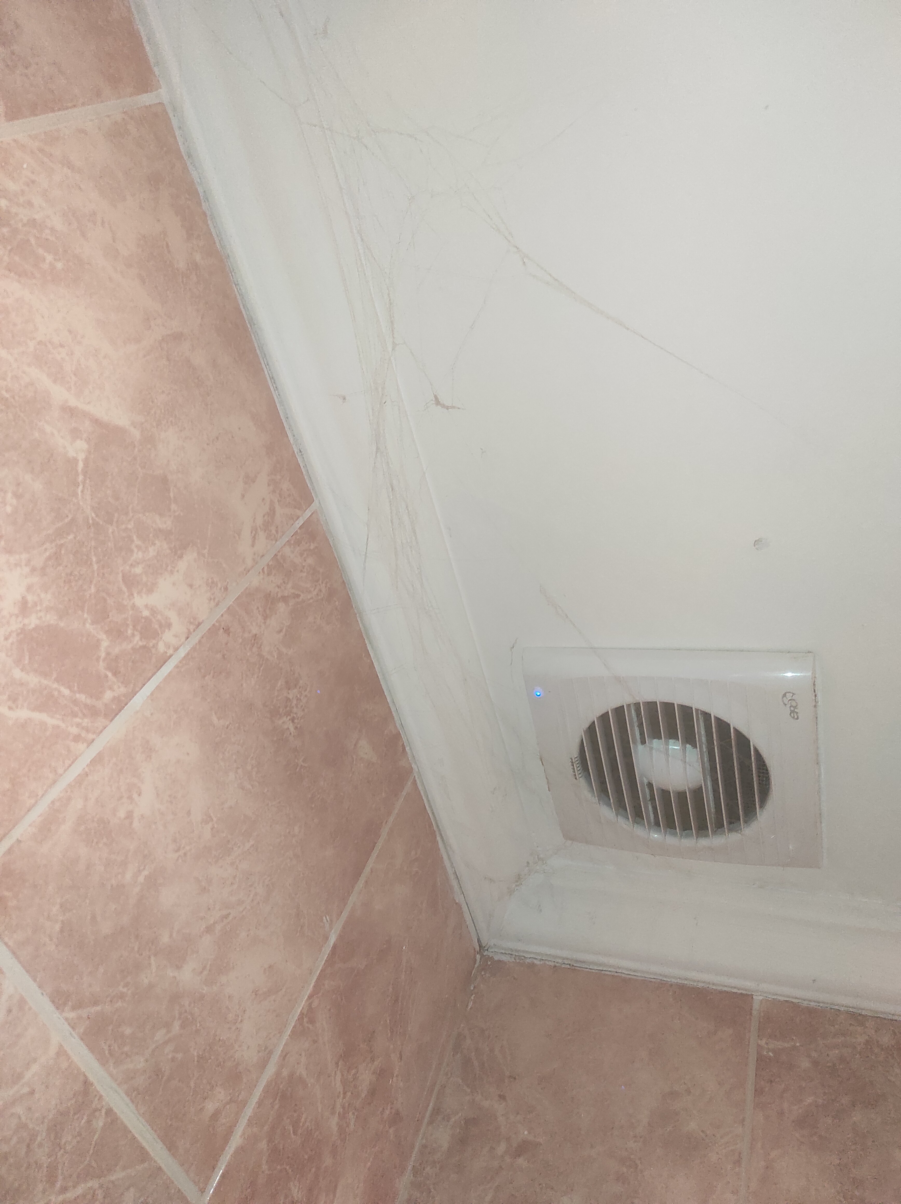 Фото Центральная