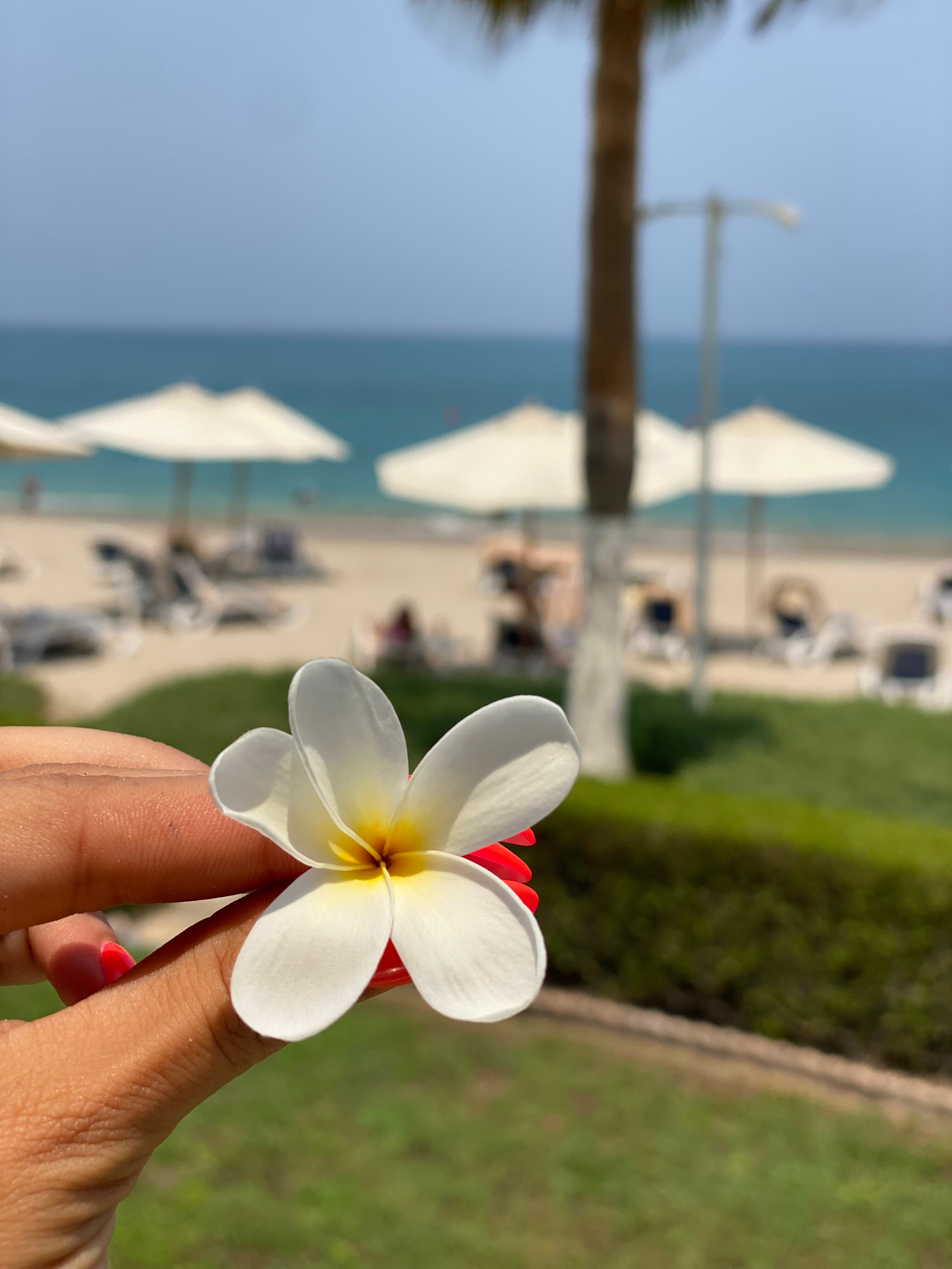 Фото Radisson Blu Resort Fujairah