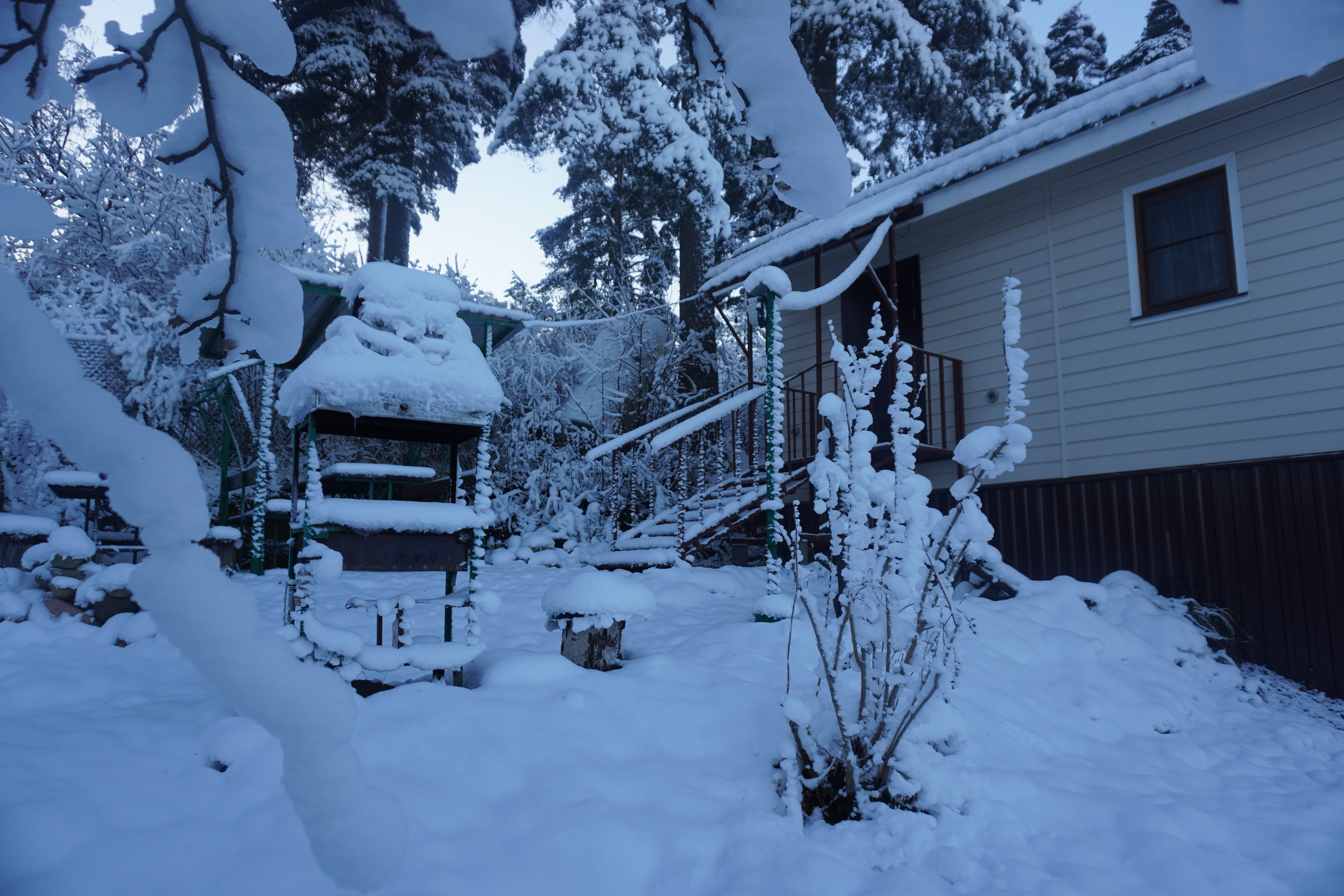Фото Домик на горке