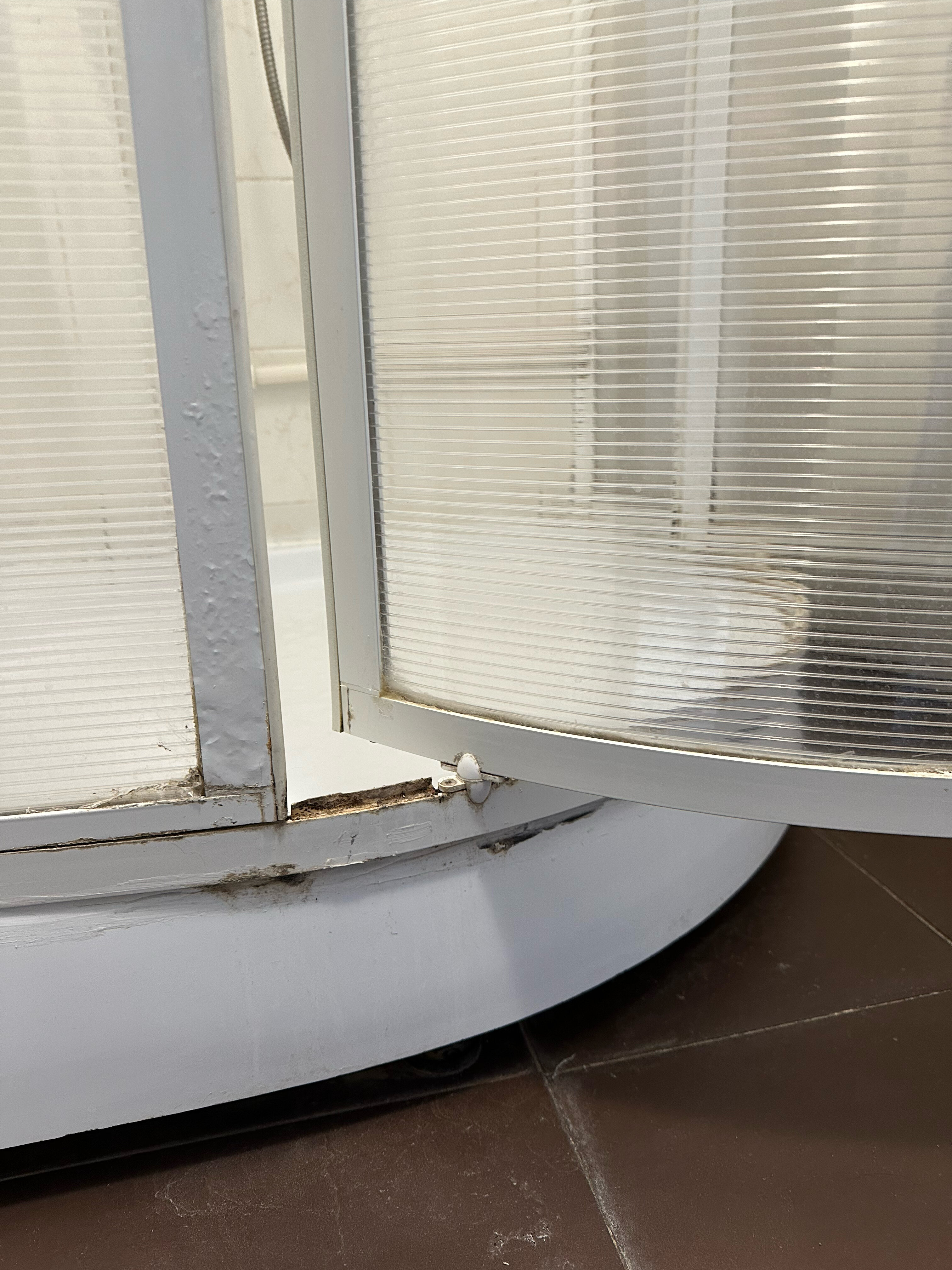 Фото Базилик