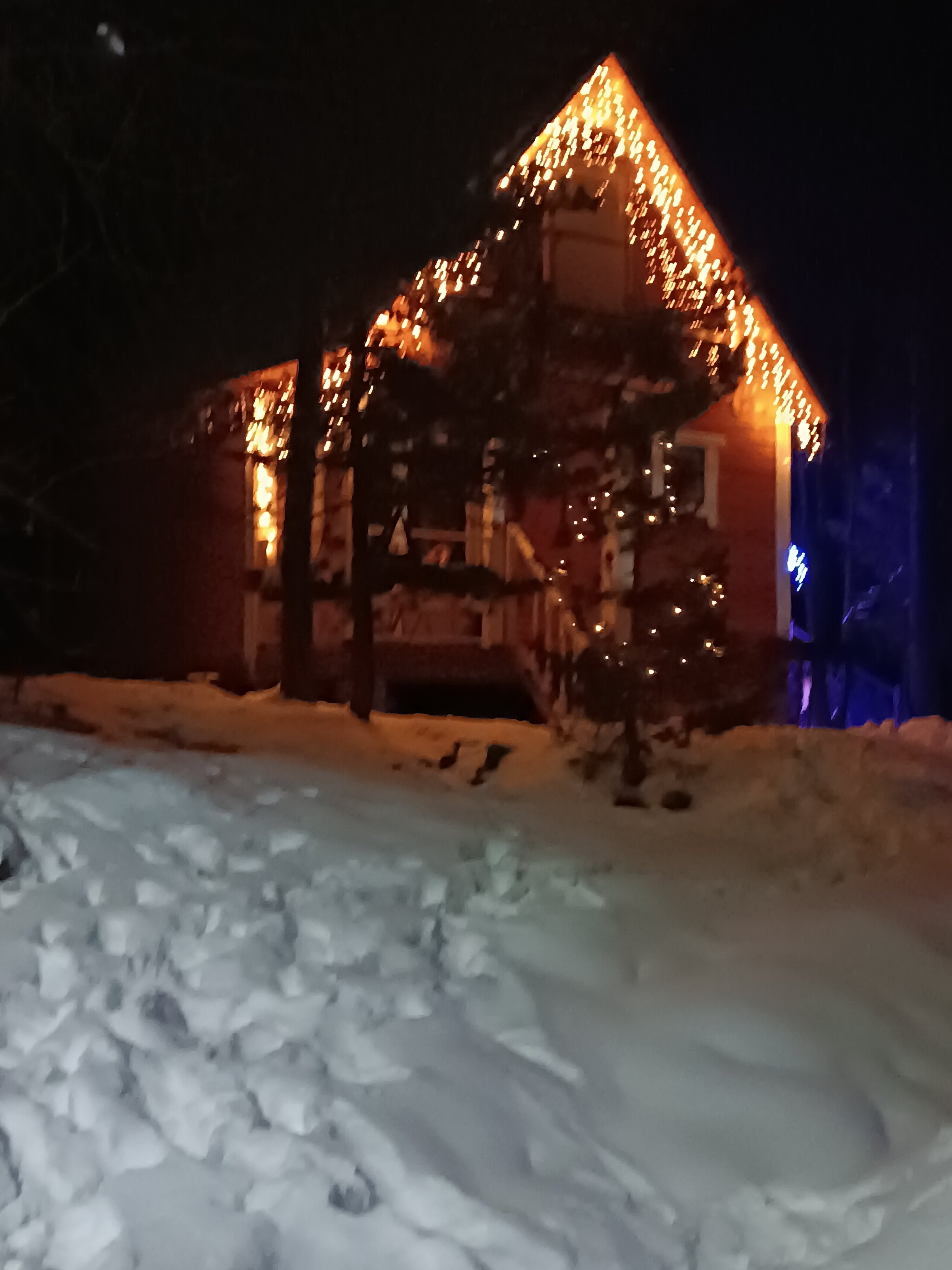 Фото Paradise Arkhyz