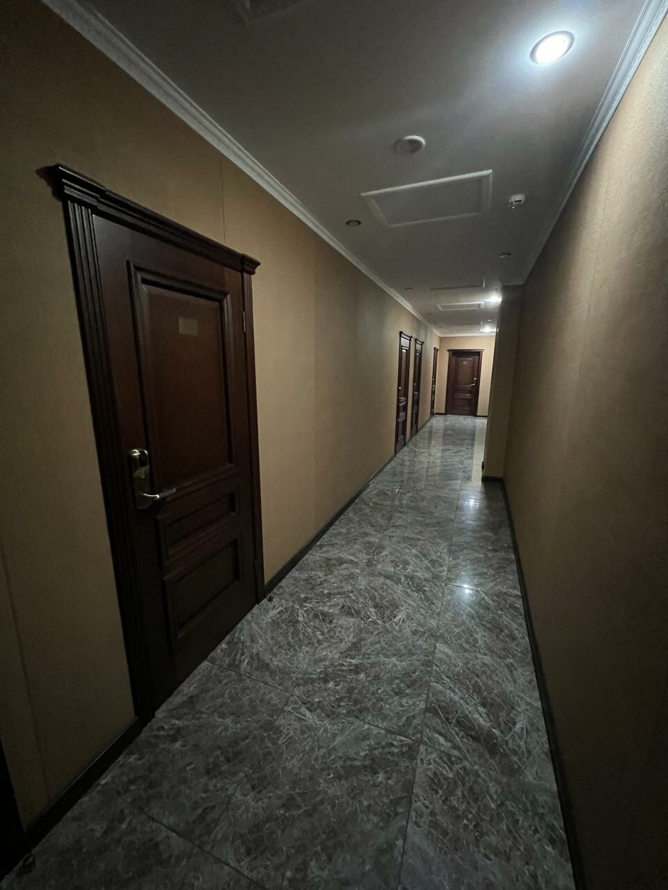 Фото Морская звезда