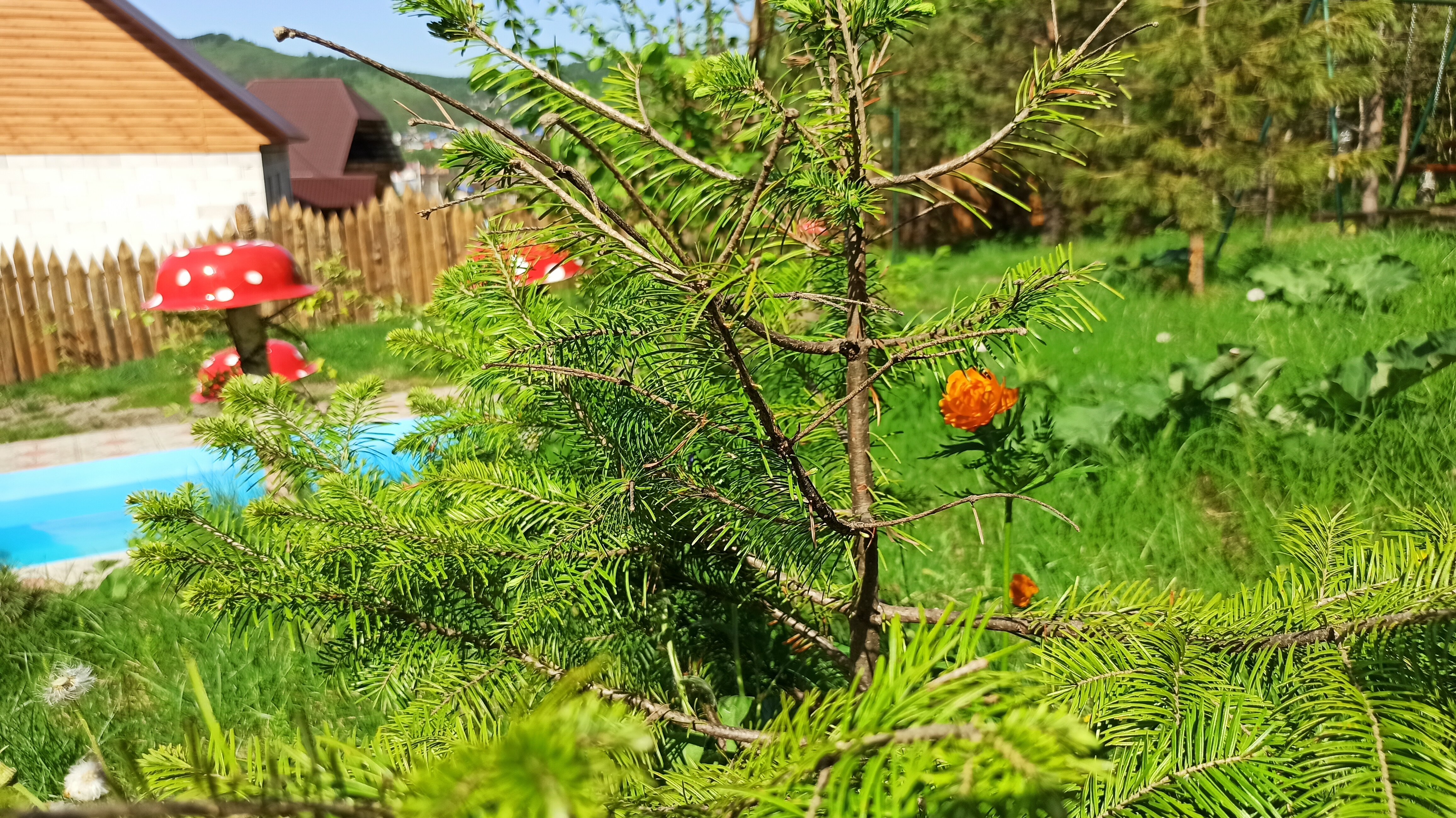 Фото Дыхание Природы