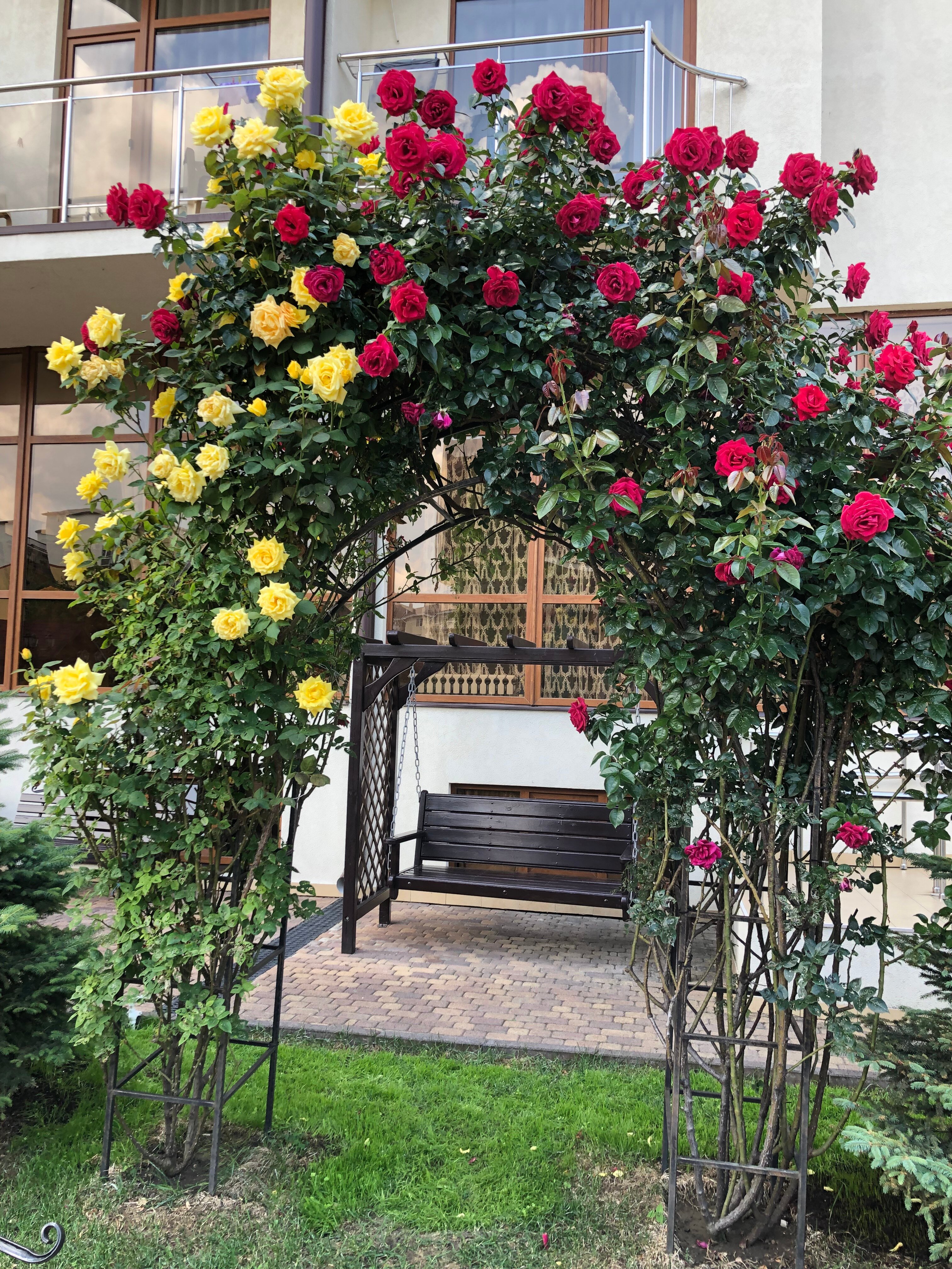 Фото Эмеральд