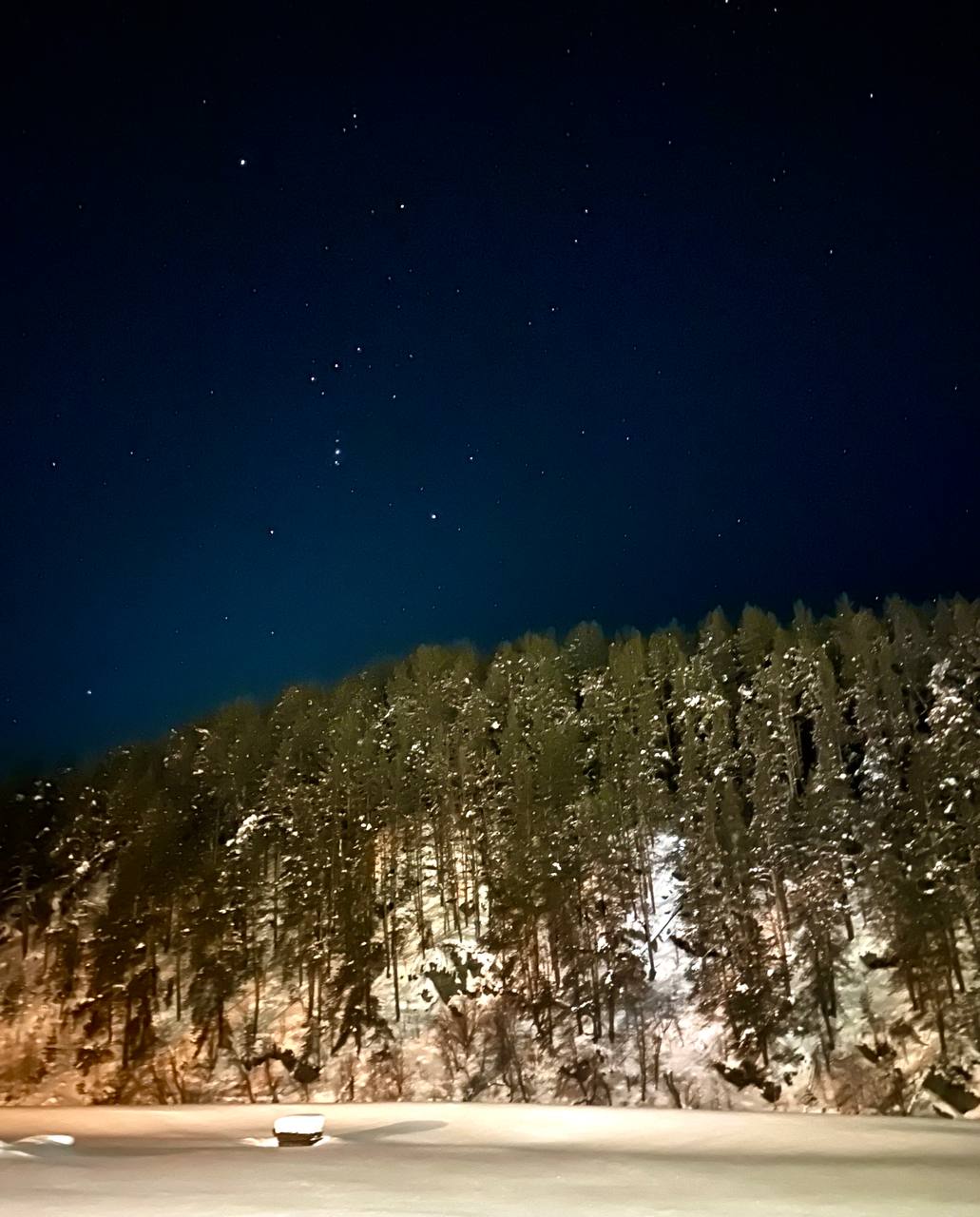 Фото Пилигрим