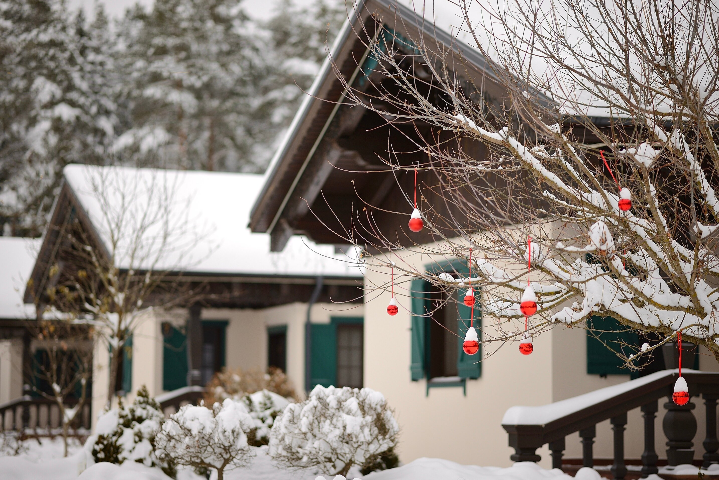 Фото Красный Бор