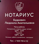 Нотариус Будкевич Л.А. (Pobedy Street, 32А) ، كاتب العدل