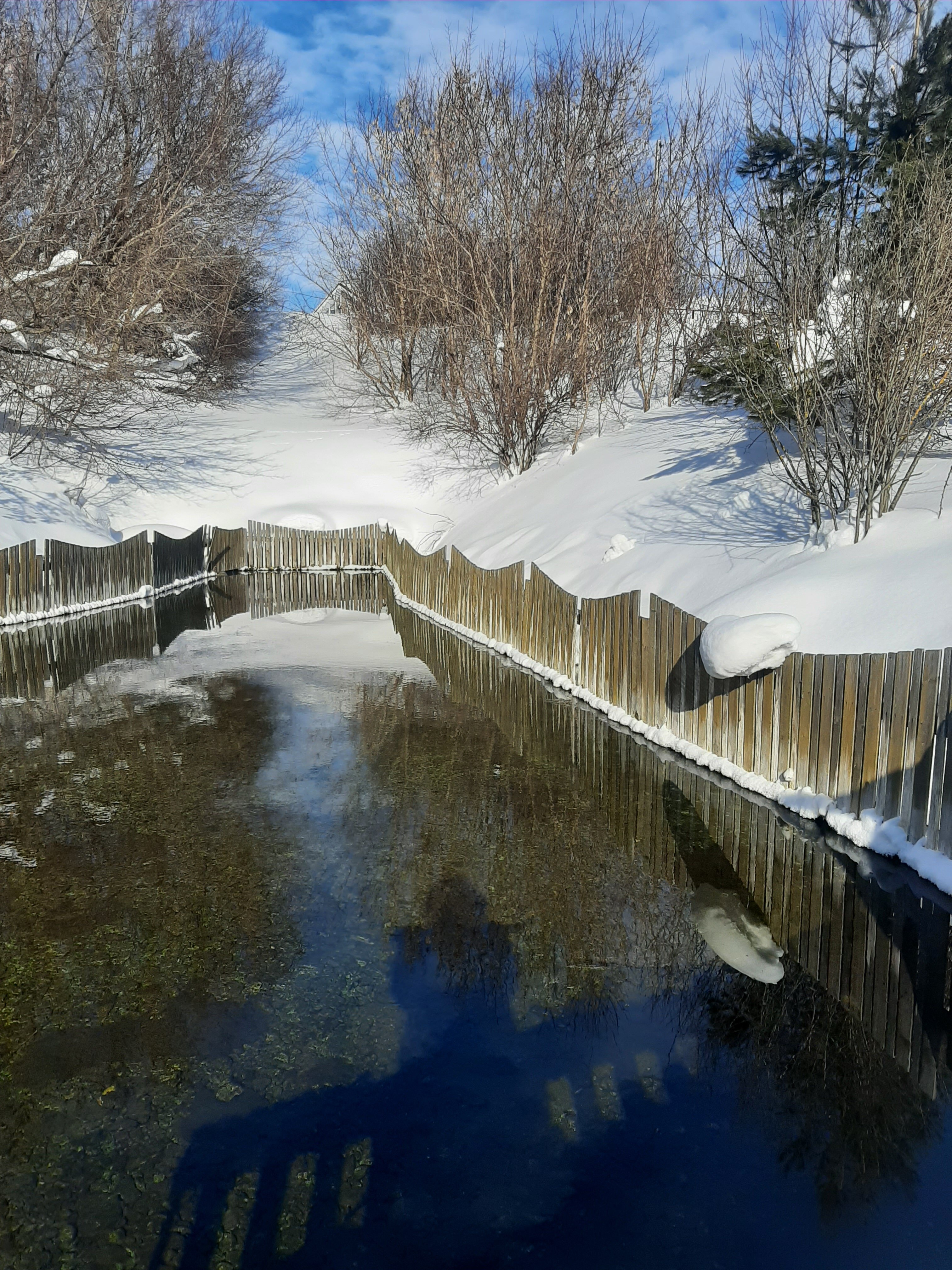 Фото Родник