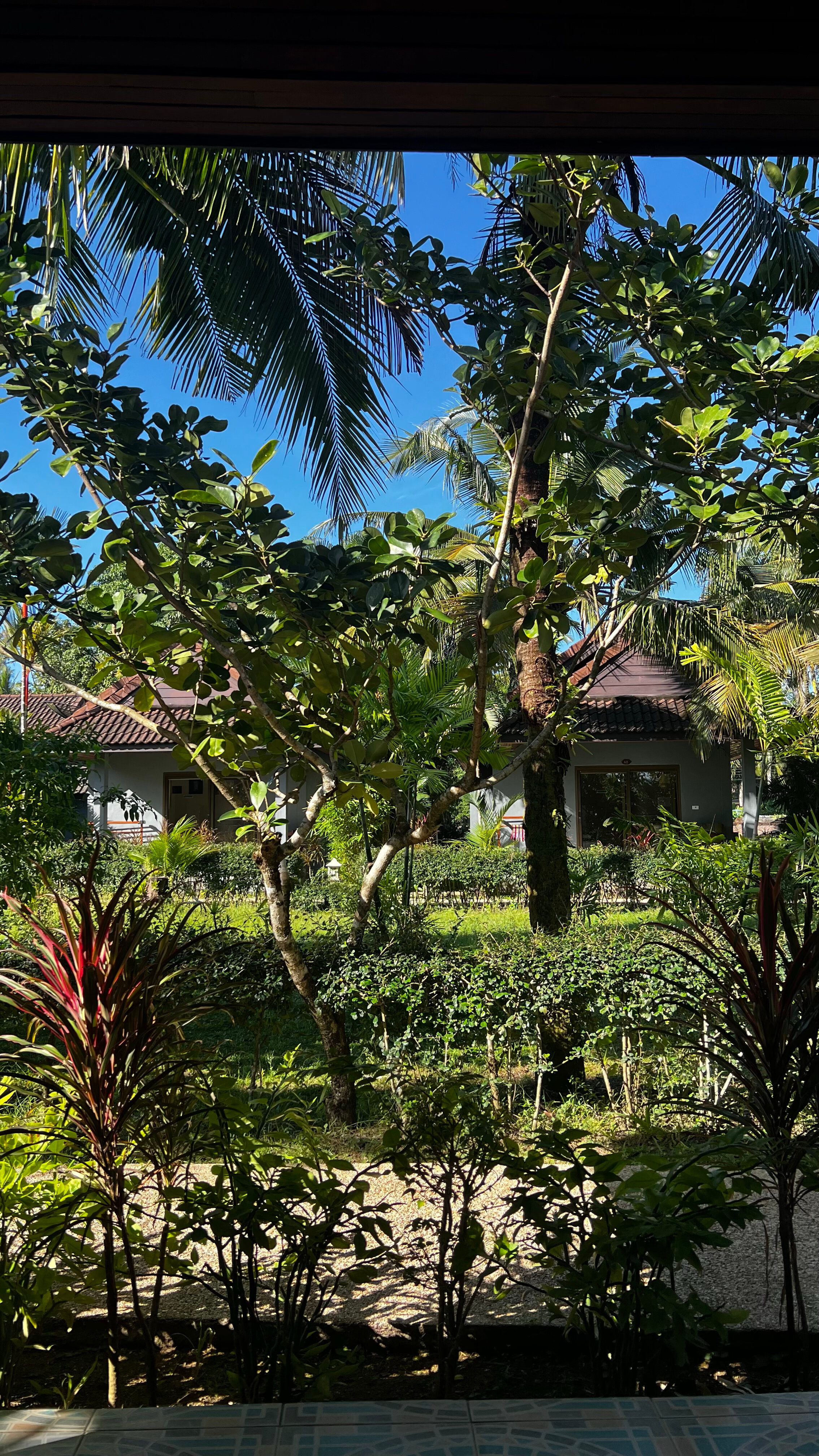 Фото Cousin Resort