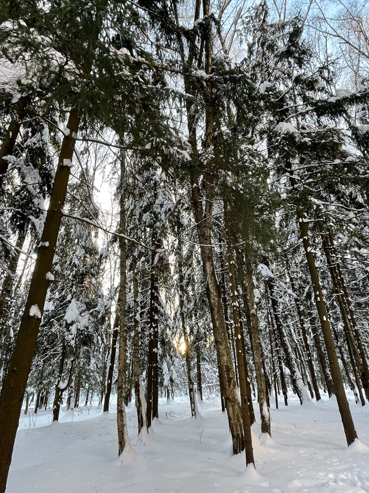 Фото Смарткуб