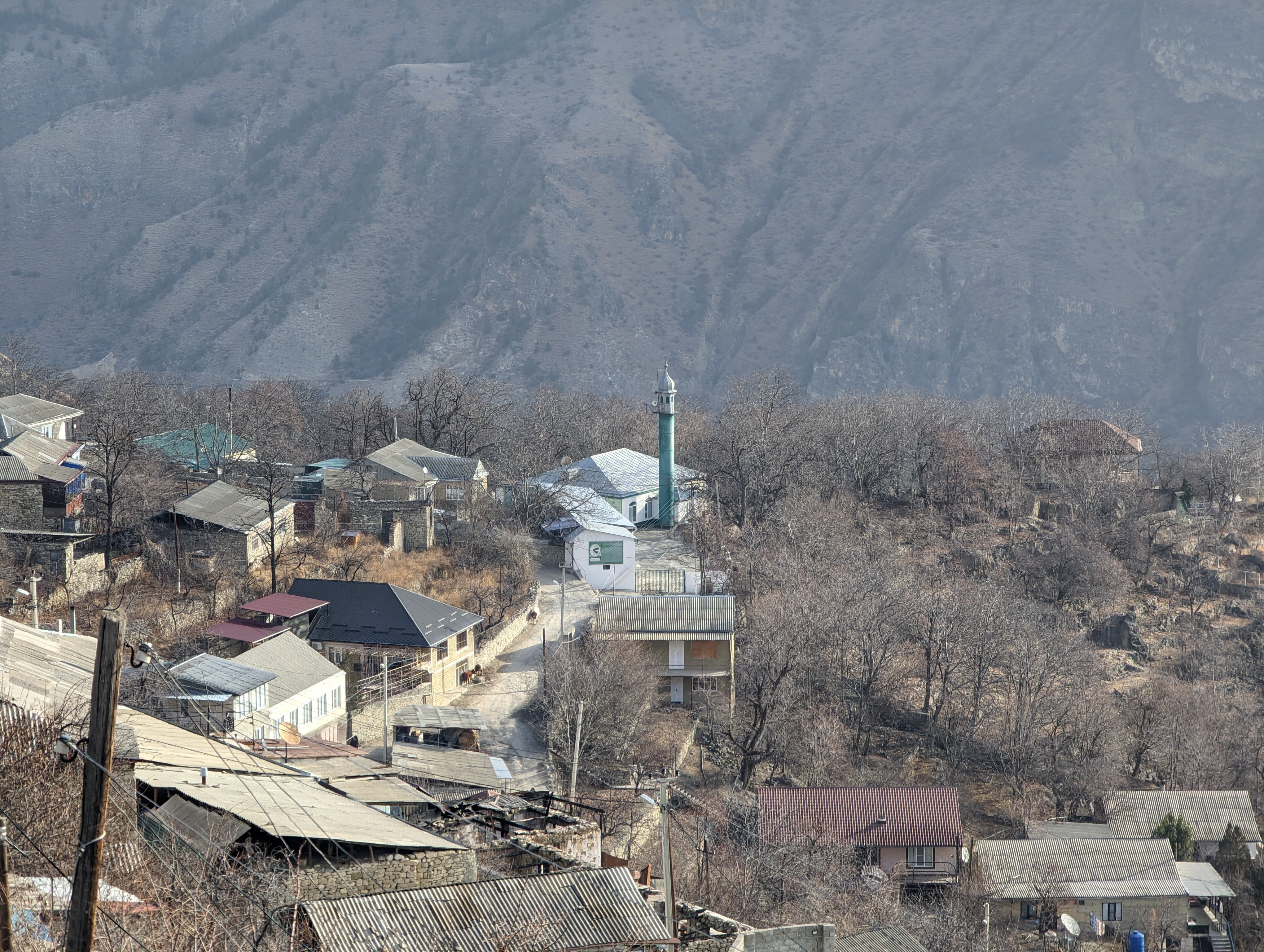 Фото Родное гнездо