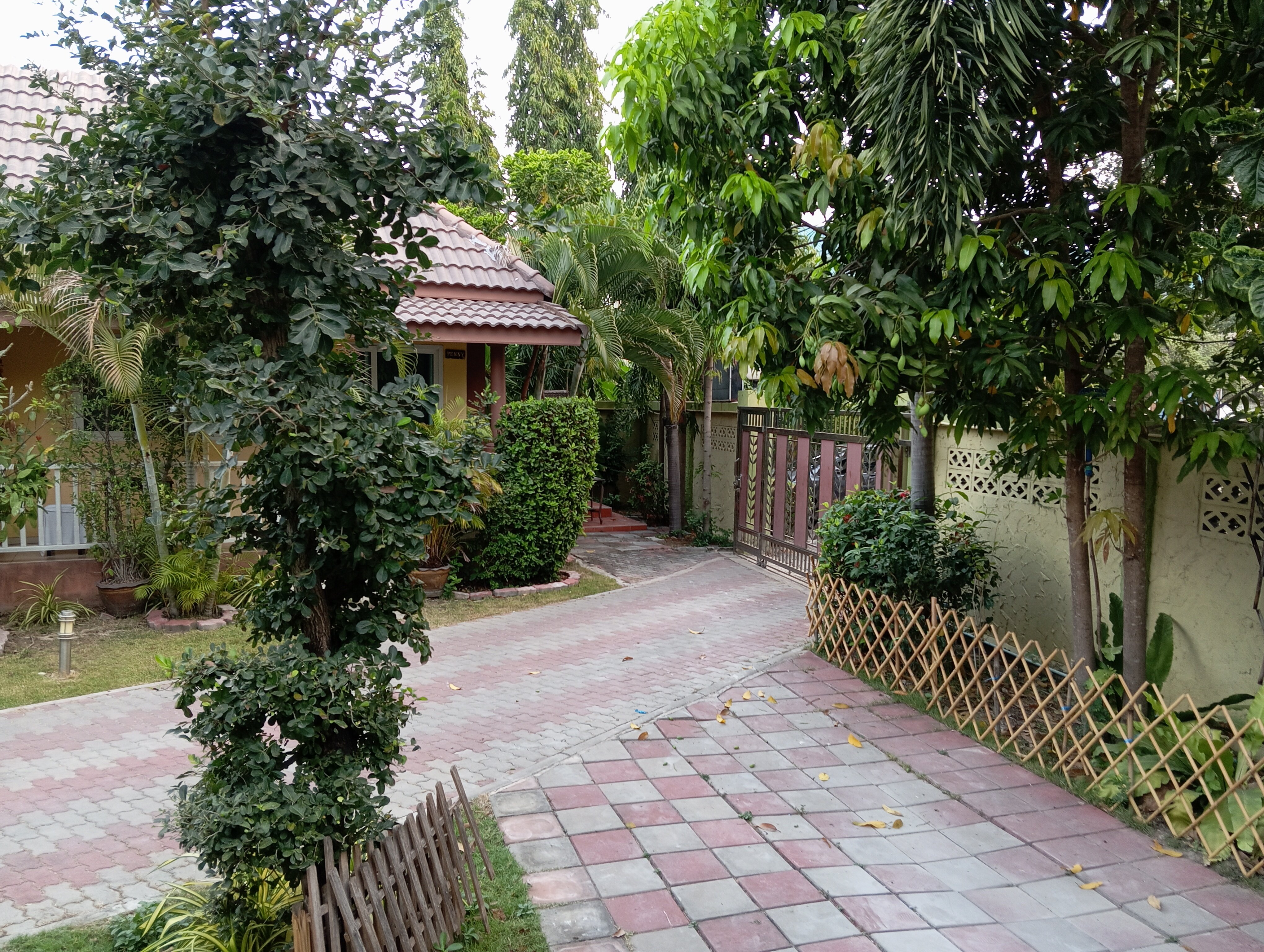 Фото Baan Penny