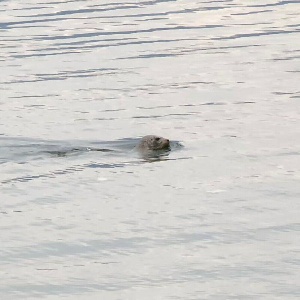 Фото Globalstay. Paradise Marina Place