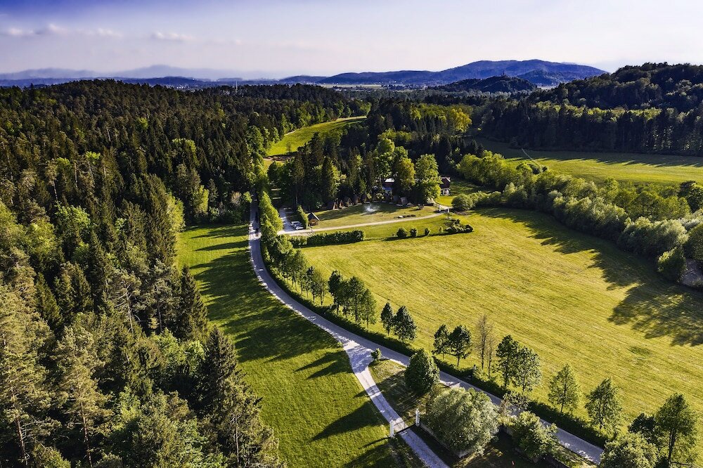 Фото Glamping Forest Edge