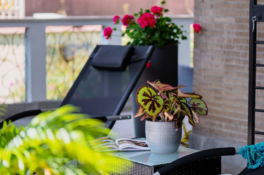 Фото Home Big CrIré at '724