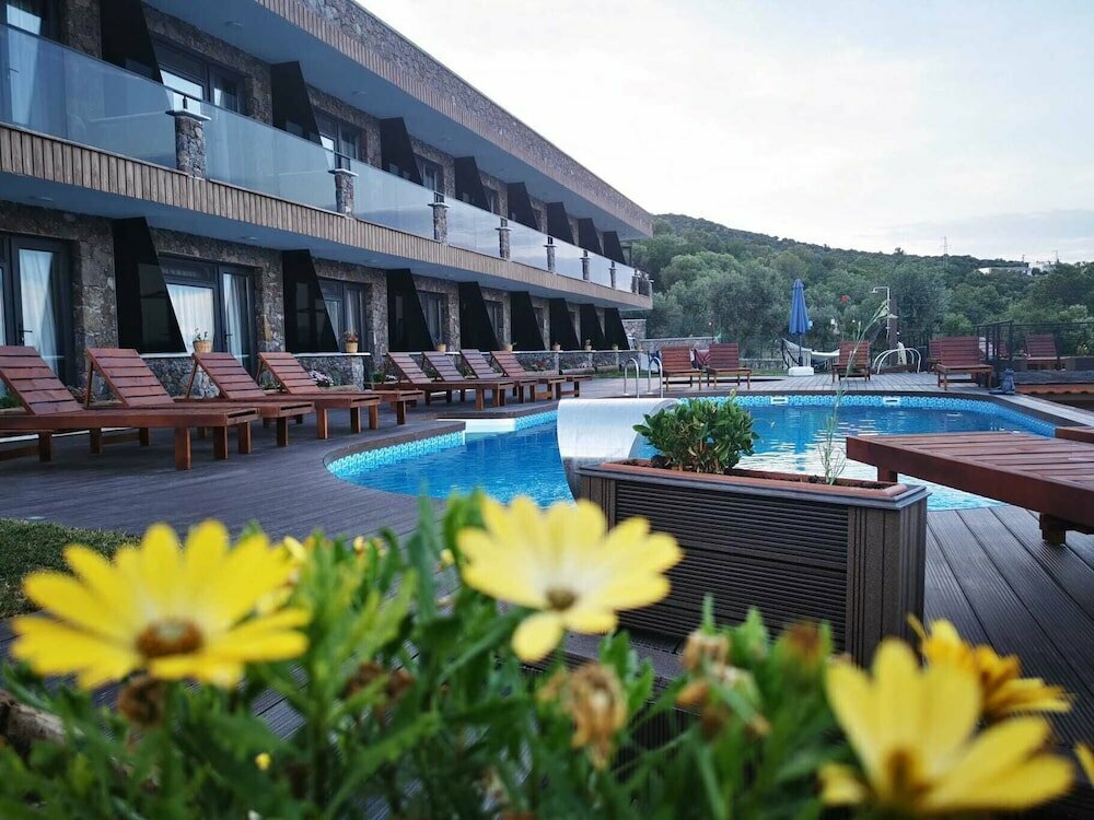 Hotel Assos Deep Blue Hotel, Ayvacik, photo