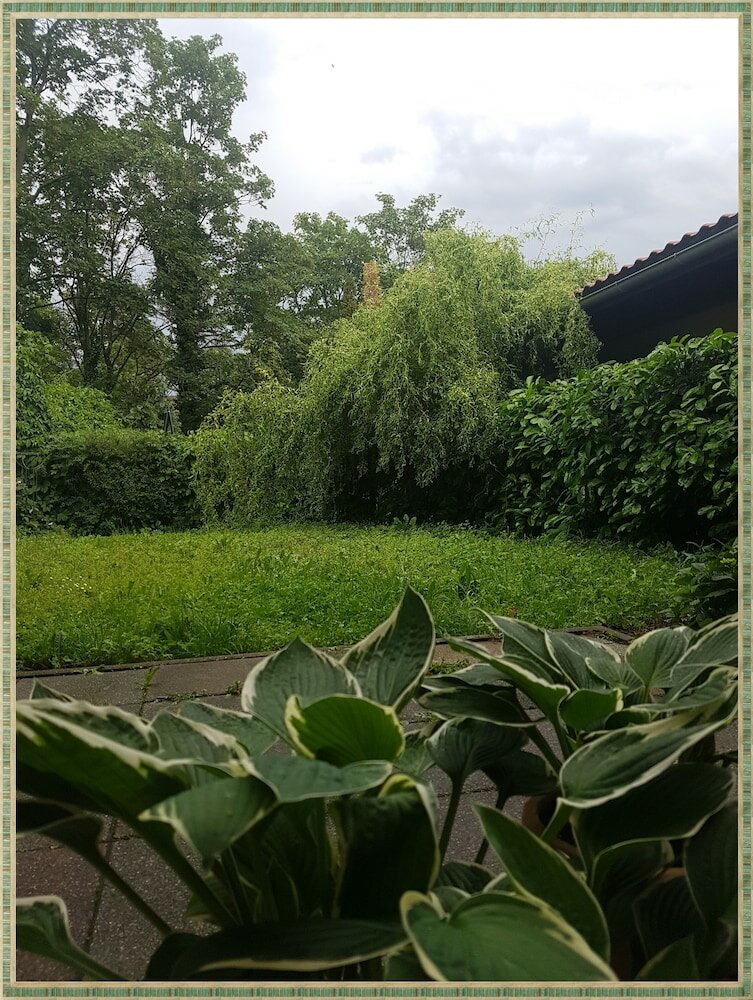 Фото Kolev Apartments