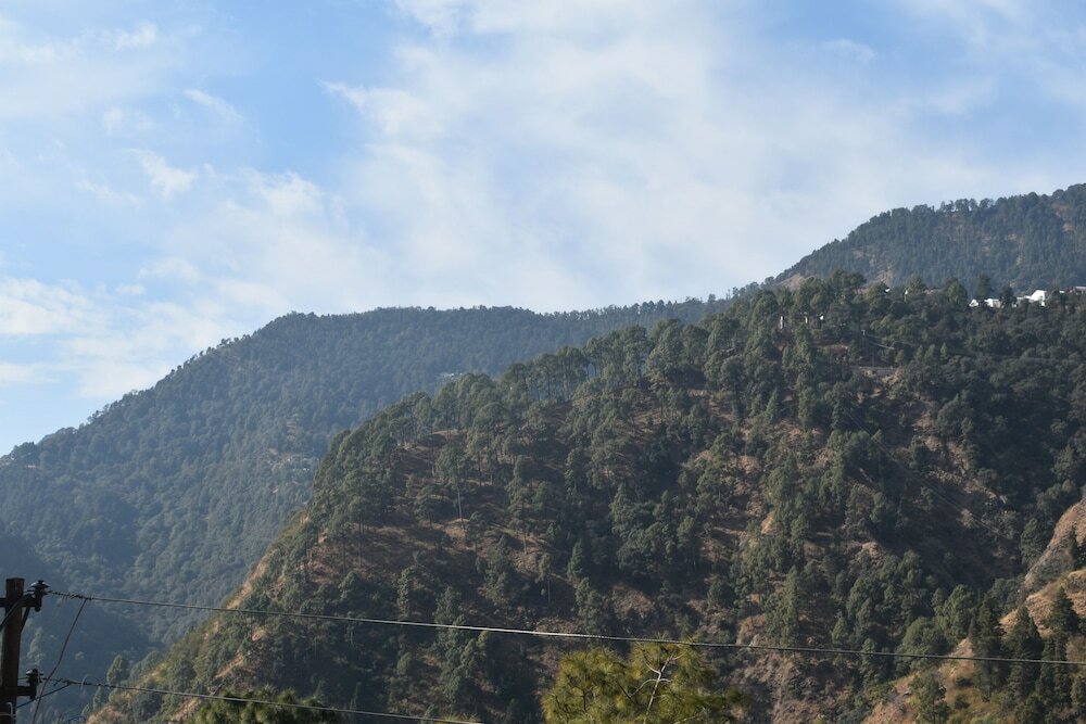Фото Divy Himalayan Retreat