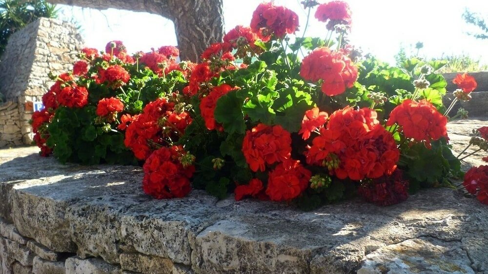 Фото Agriturismo Regno di Marzagaglia