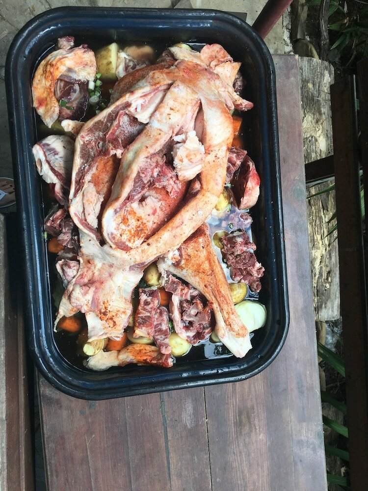 Фото Hair of the Dog Hostel