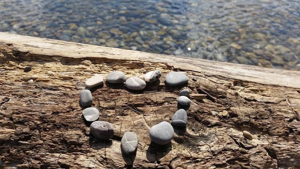 Фото Teddybärenhotel