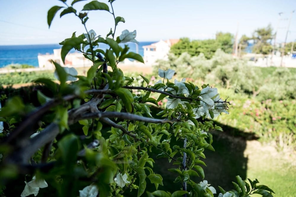 Фото Studios Petra