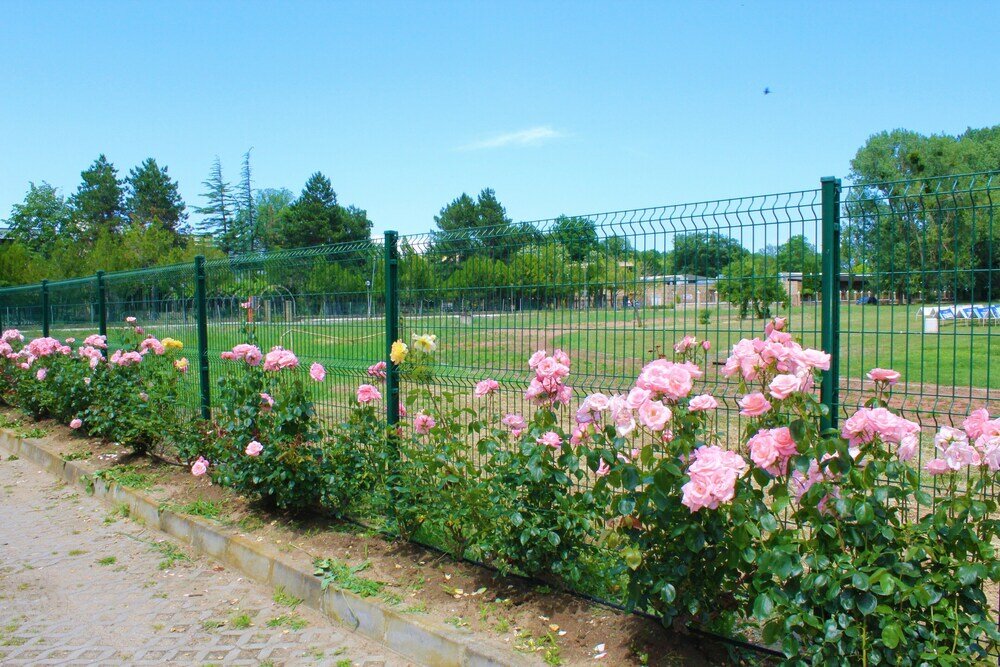 Фото Solei Apartments