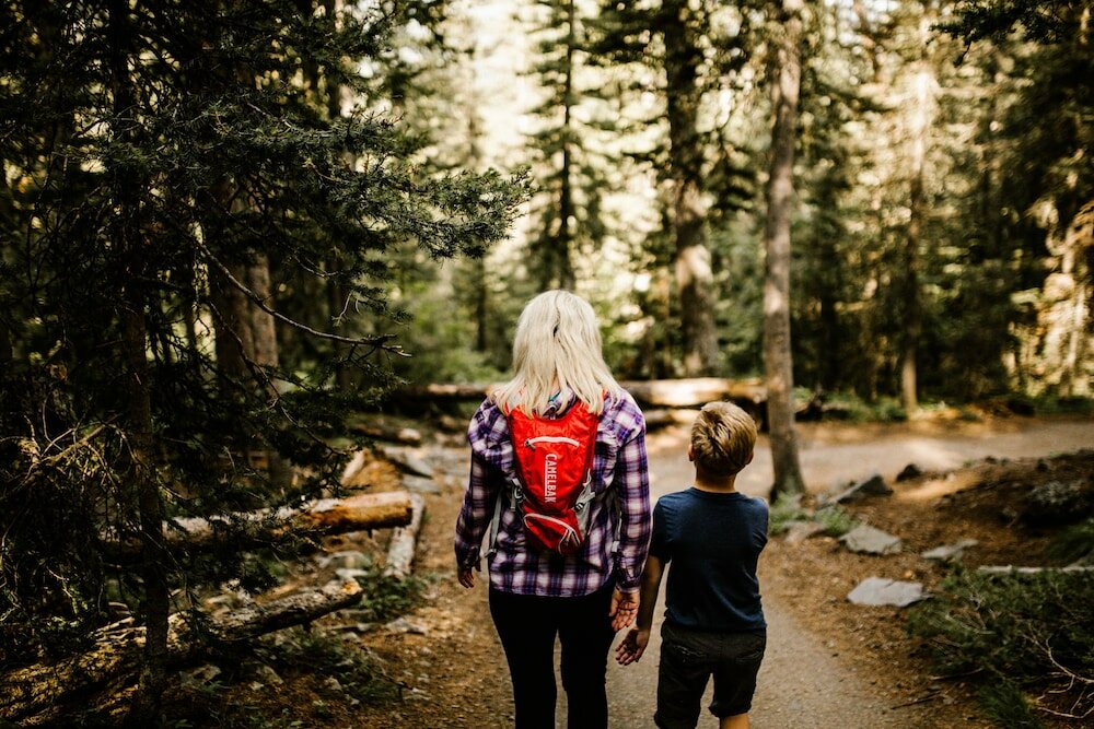 Фото Residence Inn by Marriott Bozeman Downtown