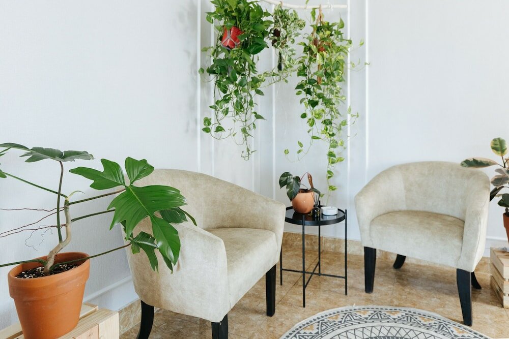 Фото Ivy Luxury Hotel & Apartment