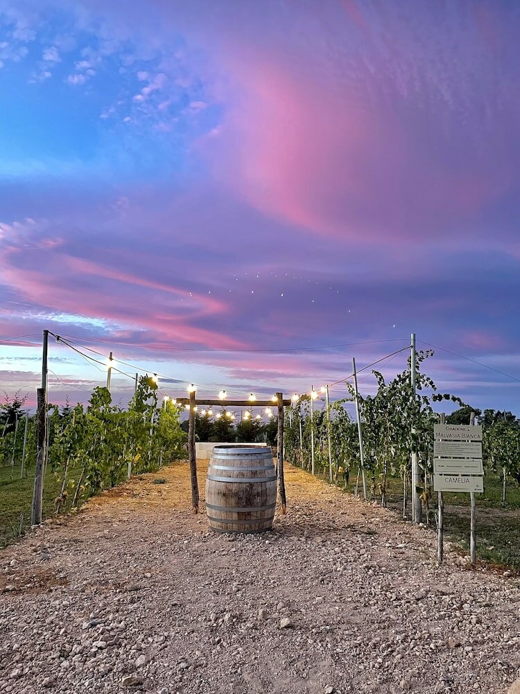 Фото De Mare Wine Resort